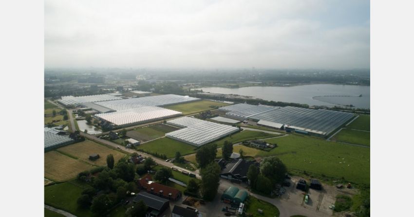 Akkoord voor bouw pillenfabriek op plek kassen Katwijk