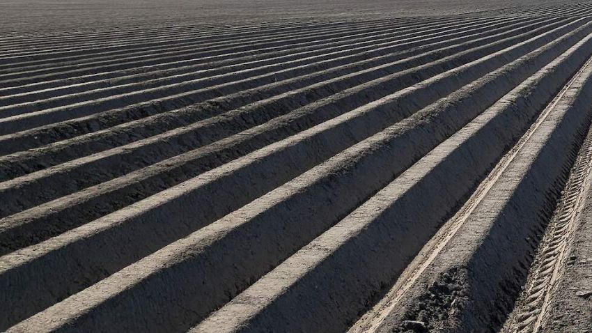 Boeren hoeven duizenden euro's aan subsidie niet terug te betalen na verhuur grond aan aardappeltele
