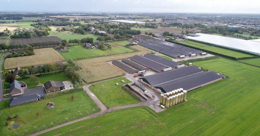Coppens moderniseert varkensimperium: minder stank, meer dieren, frisse lucht voor De Elzen