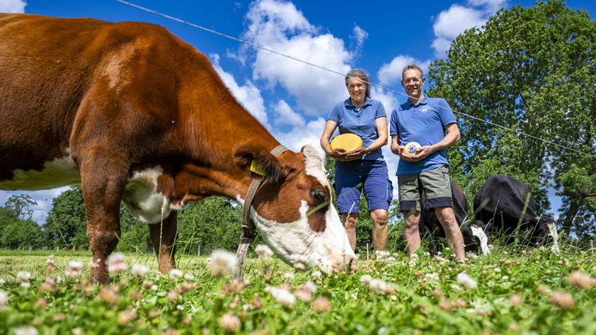 De kaas van Emelie (48) uit Doldersum is de zeldzaamste van Drenthe. Maar is die ook de lekkerste?