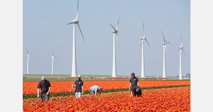 Gemeente Horst aan de Maas: huisvesting voor maximaal 20 eigen medewerkers op erf teler