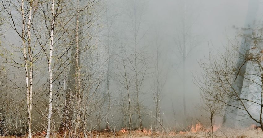 Grote brand in natuurgebied De Meinweg in Limburg, brand breidt door droogte en wind zeer snel uit