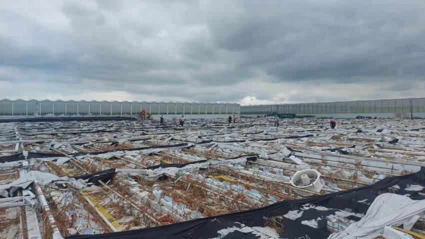 Herstelwerkzaamheden Agro Care verlopen voorspoedig