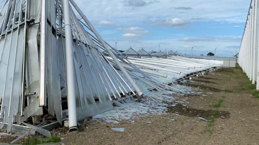 Kassencomplex van Westlands bedrijf ingestort in Middenmeer