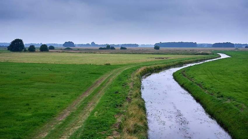 Melkveehouderij uit Benneveld (Drenthe) wil van vernattingsplan Nieuwe Drostendiep af