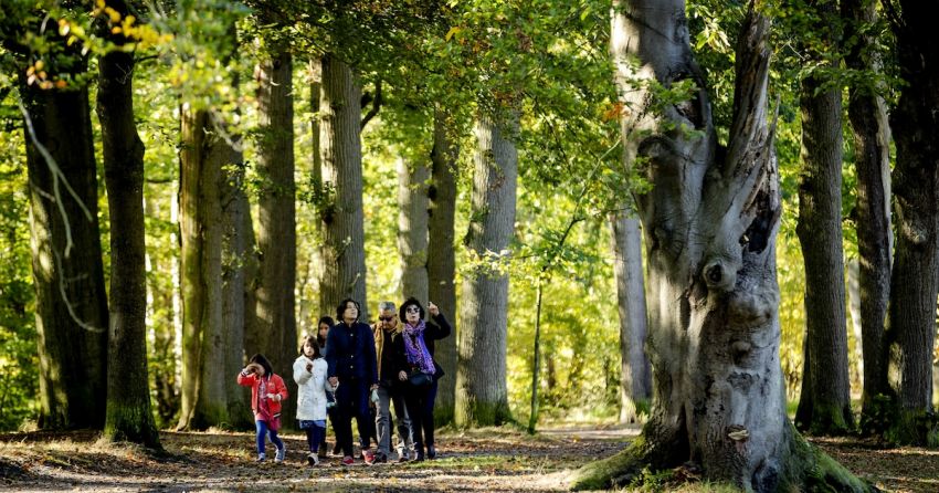 Opnieuw temperatuurrecord gesneuveld: &rsquo;Meer records niet uitgesloten&rsquo;