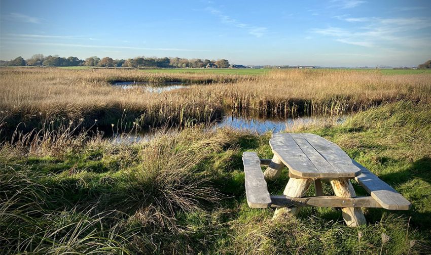 Provincie investeert in natuur Zuurvenspolder bij Bergen