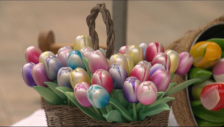 Tulpen Kunst Route wil bollenvelden en de stad dichter bij elkaar brengen