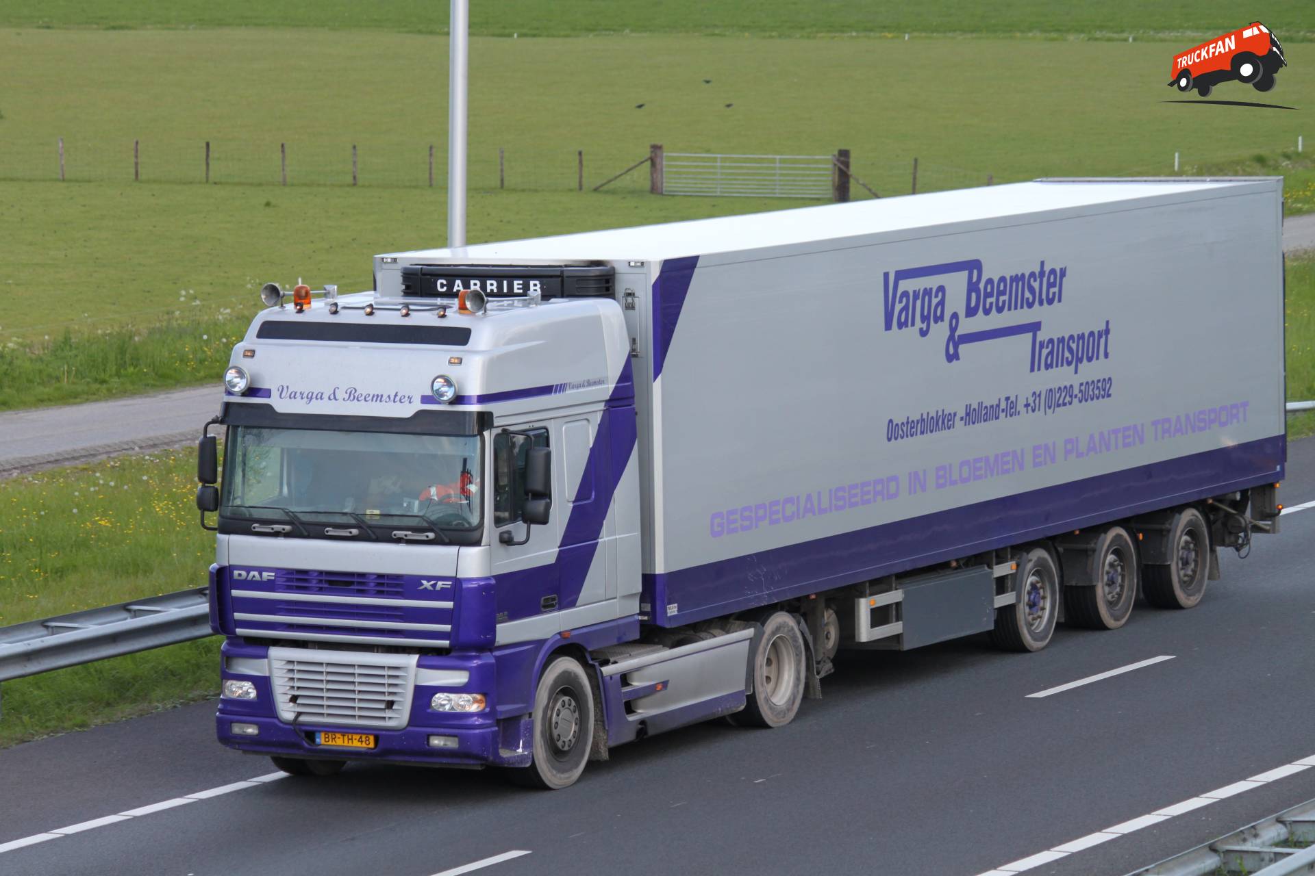 DAF XF95 vrachtwagen van Varga & Beemster
