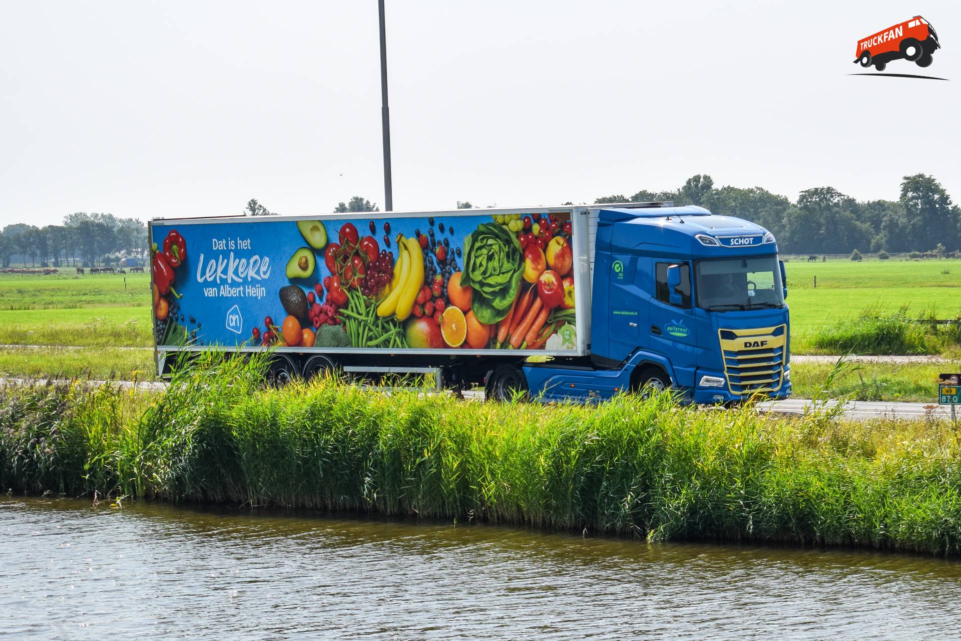 DAF XG 480 FT Schot Groep Daily Cool Transport Alkmaar