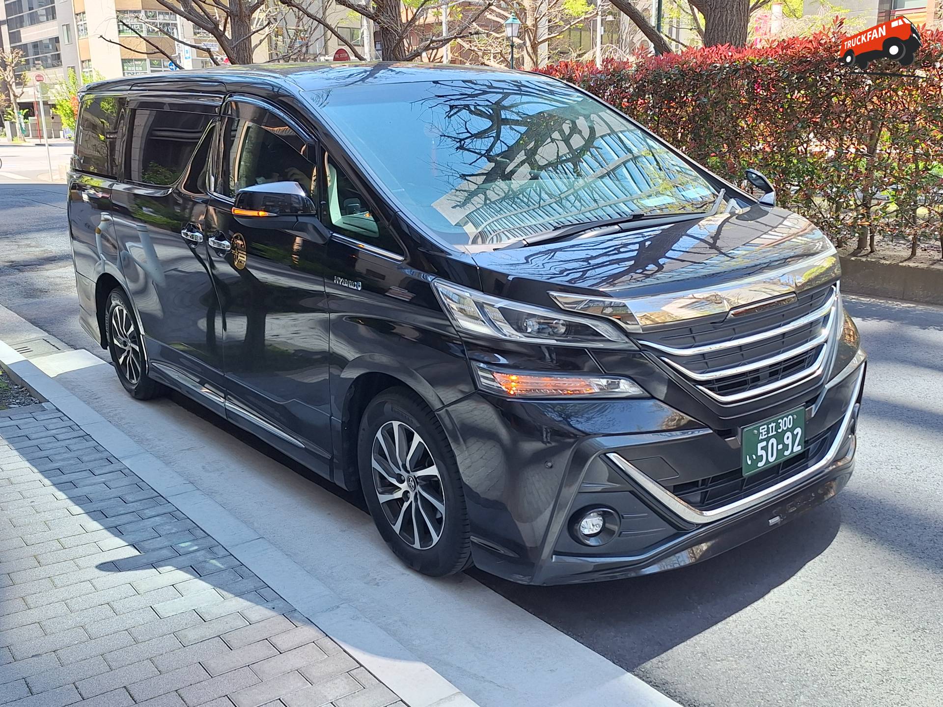 Toyota Vellfire in Hamacho