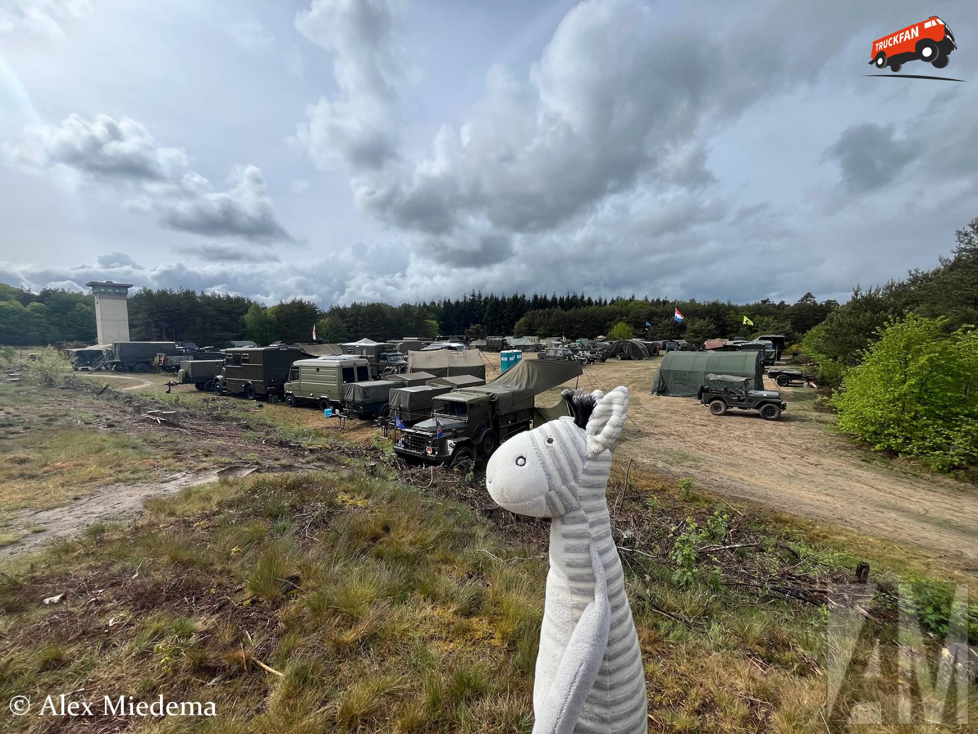 Zebra op reis naar het Dutch Peace Army hemelvaartsweekend 2026