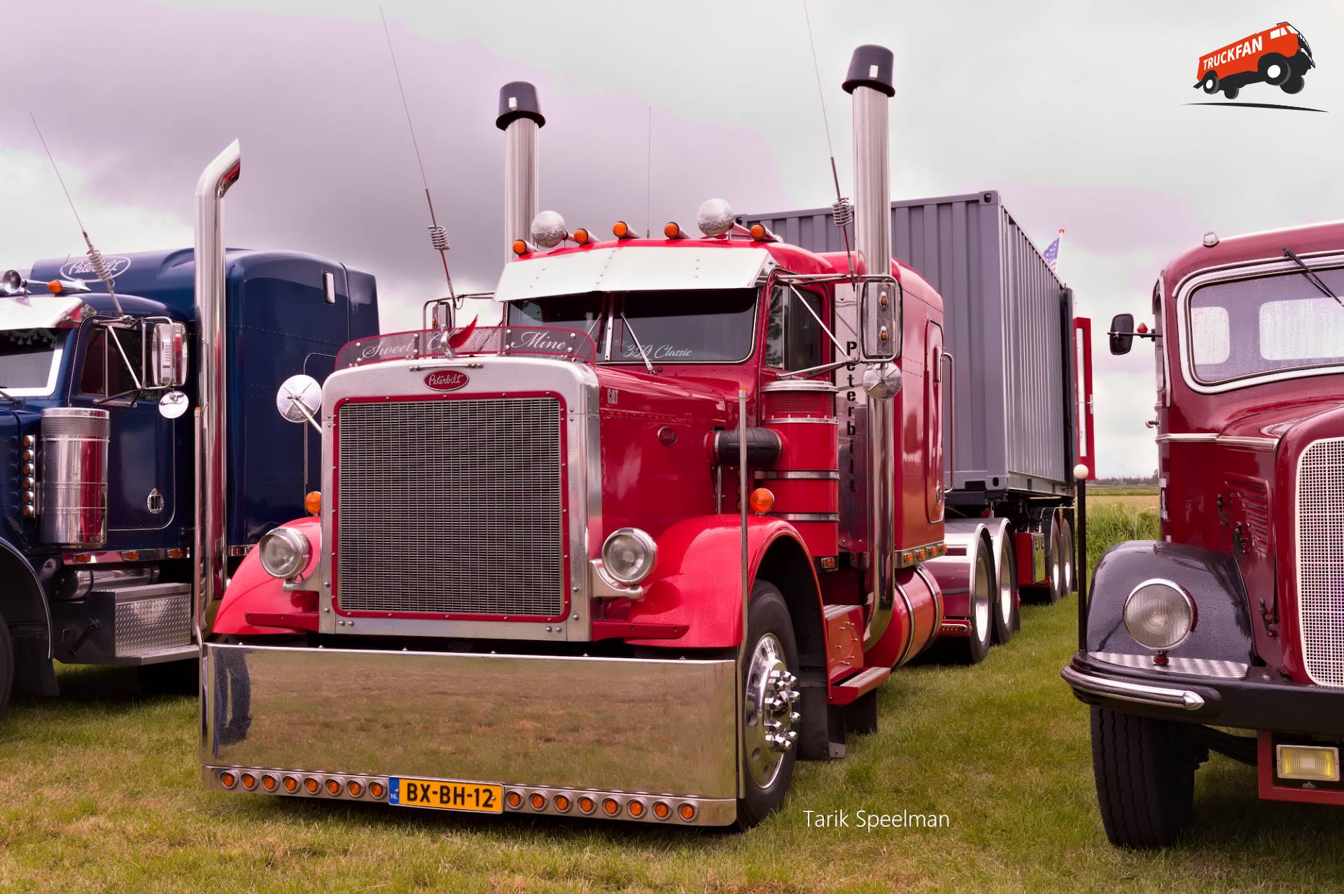 Peterbilt 359 truck with license BX-BH-12