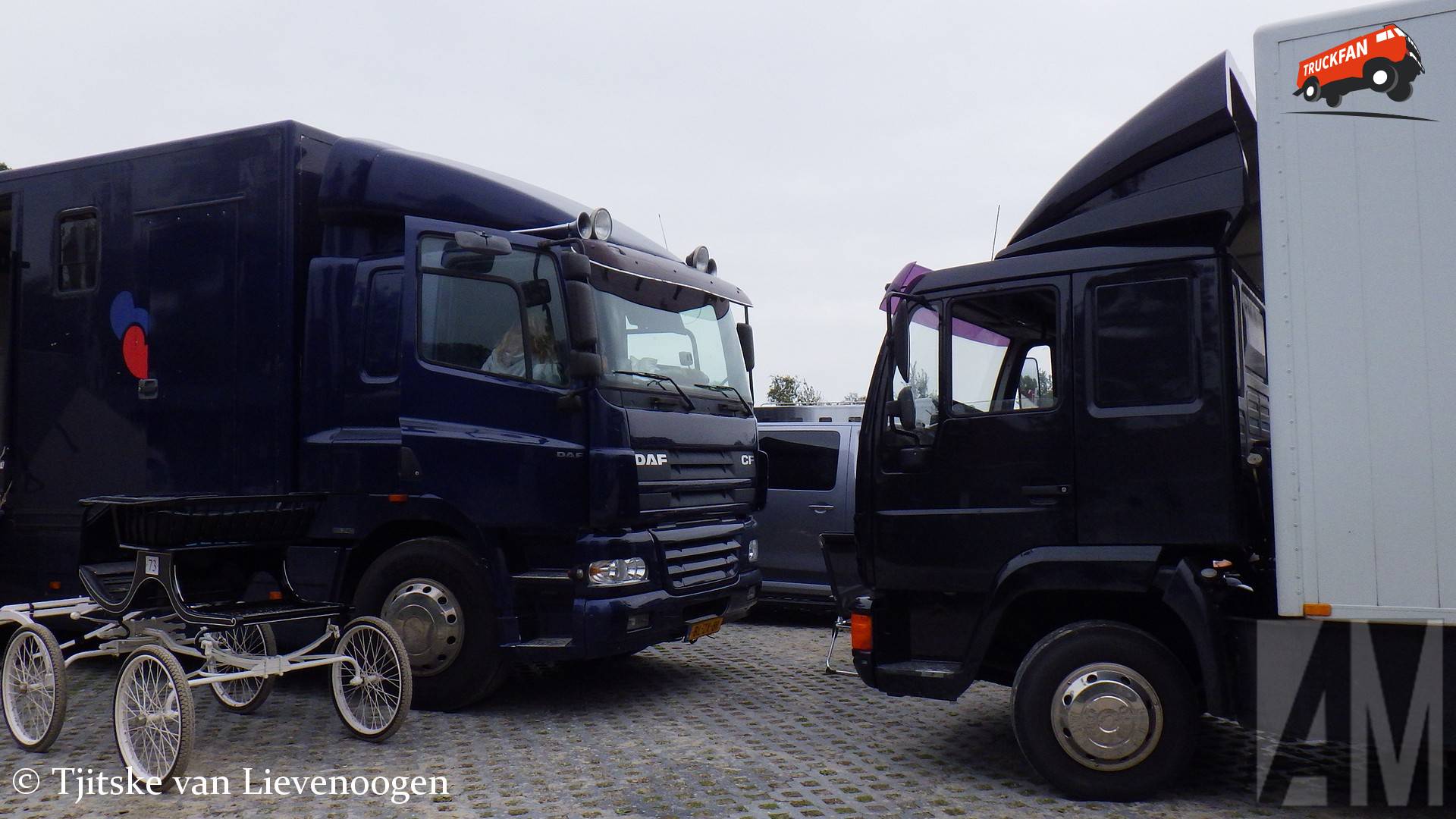 DAF CF en MAN paardentransporters bij Kokedei Workum