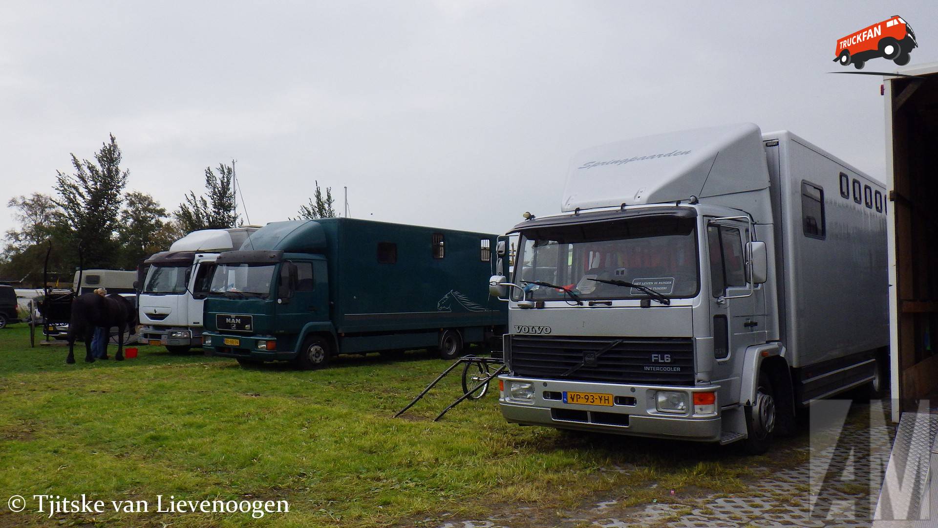 Volvo FL6 truck at Kokedei cattle inspection day