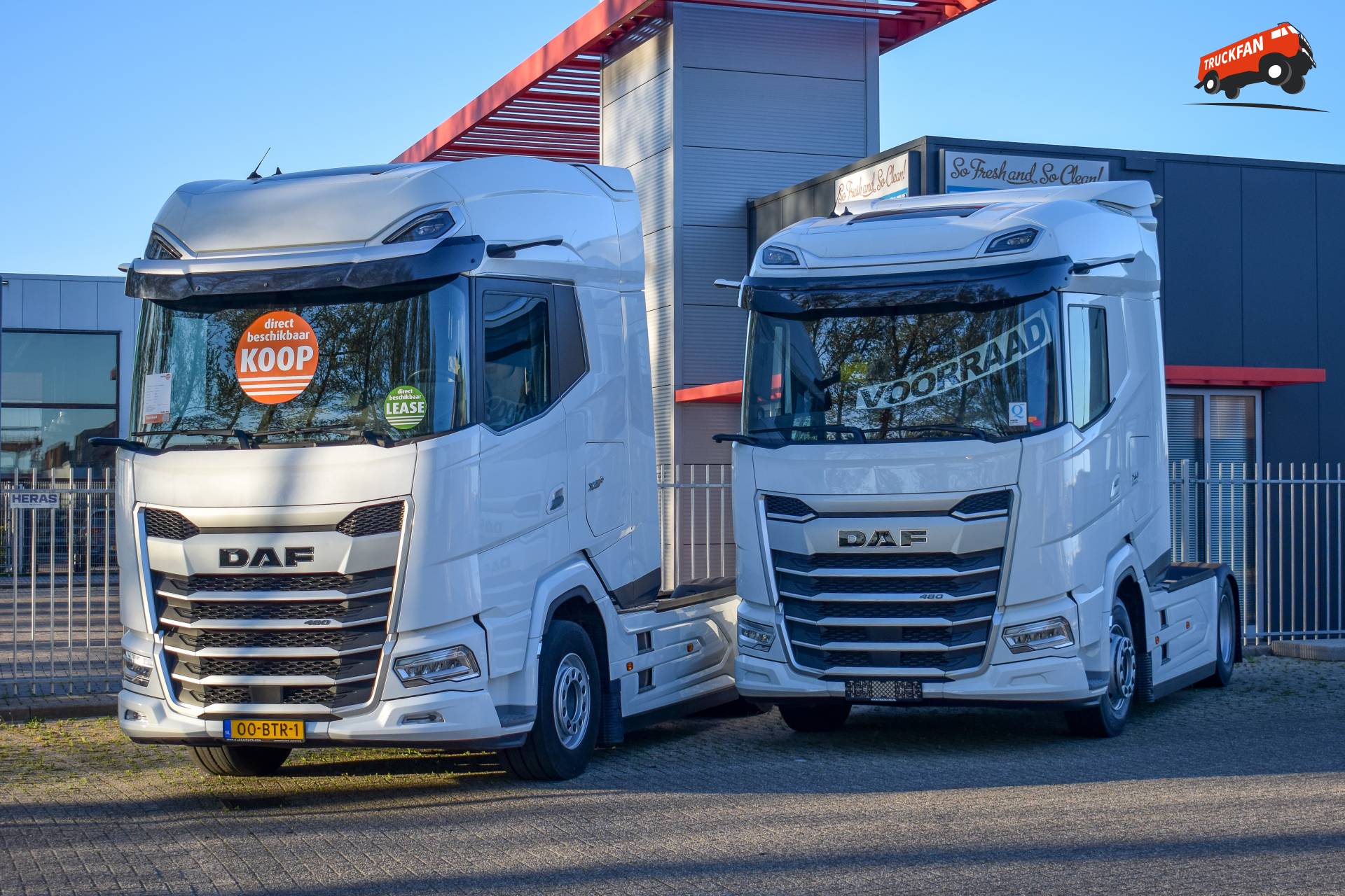 DAF XG XG+ 480 FT