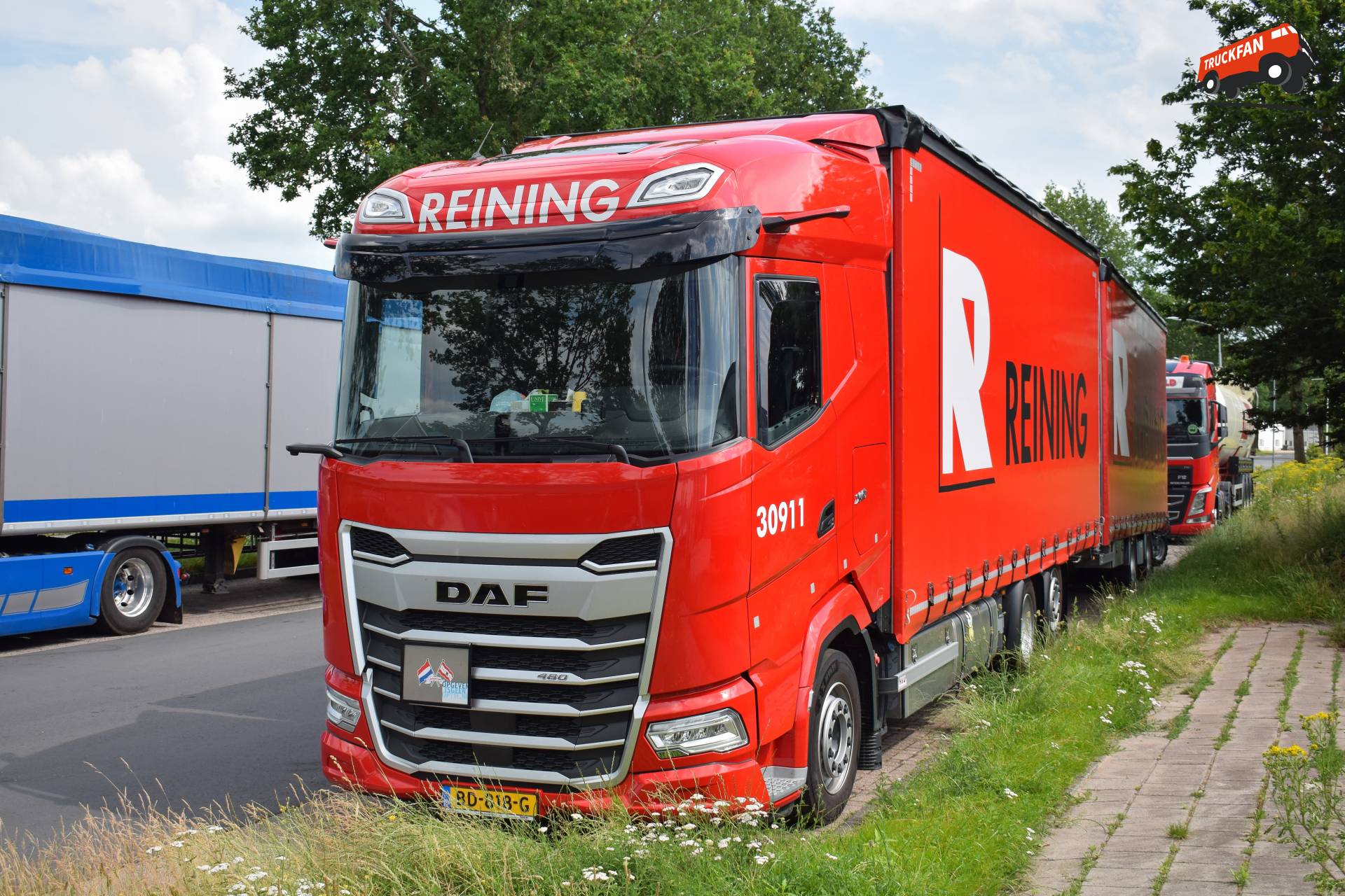 DAF XG 480 FAN Reining Transport Kolham