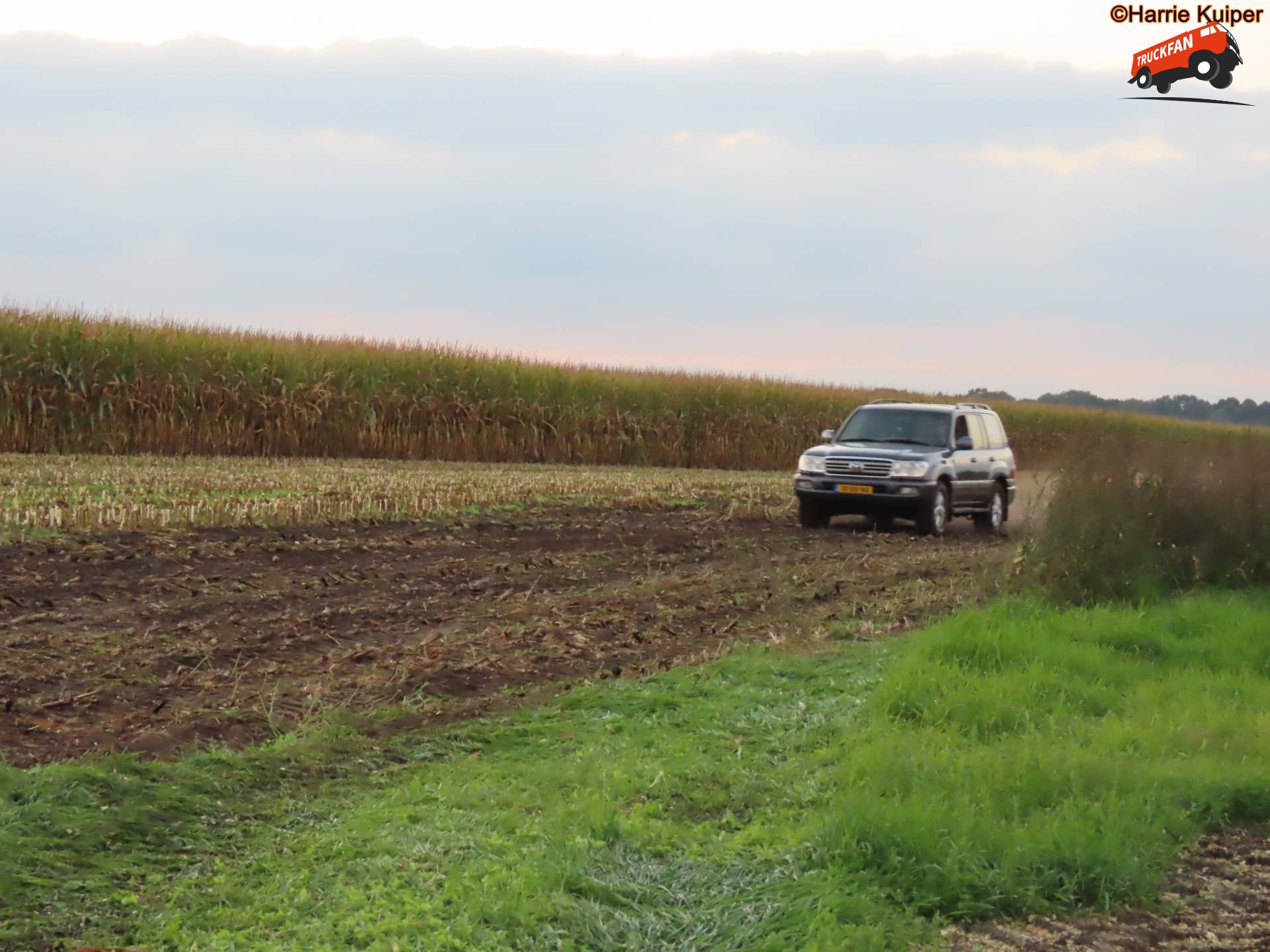 Toyota Landcruiser in het maisveld