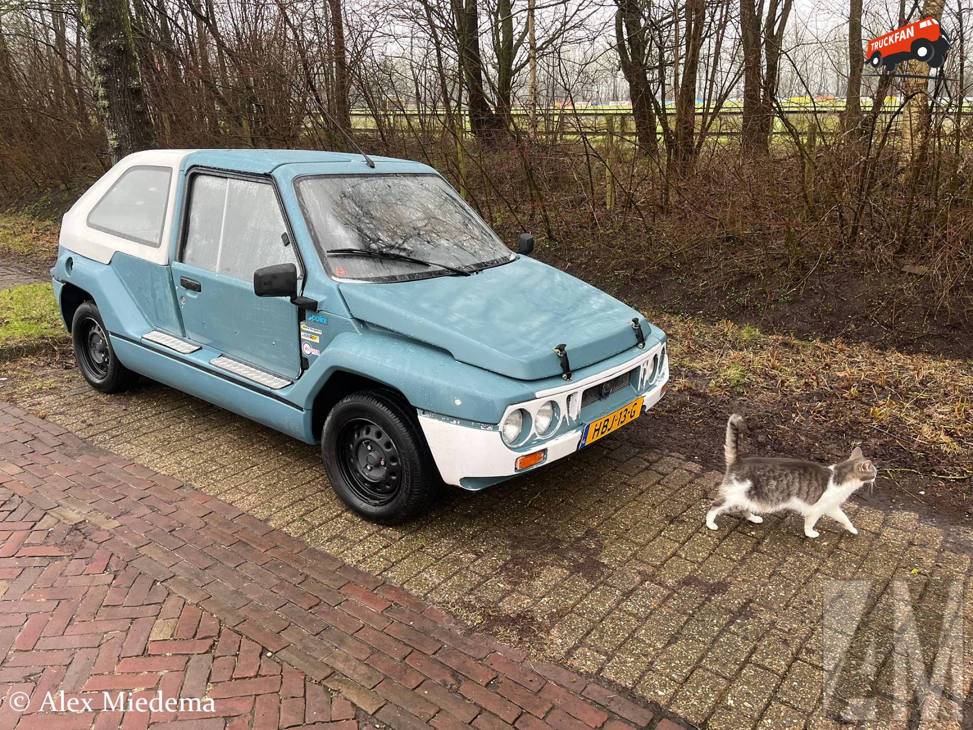 Goedgekeurd door Storm (in de zomer was het zijn favoriete slaapplaats)