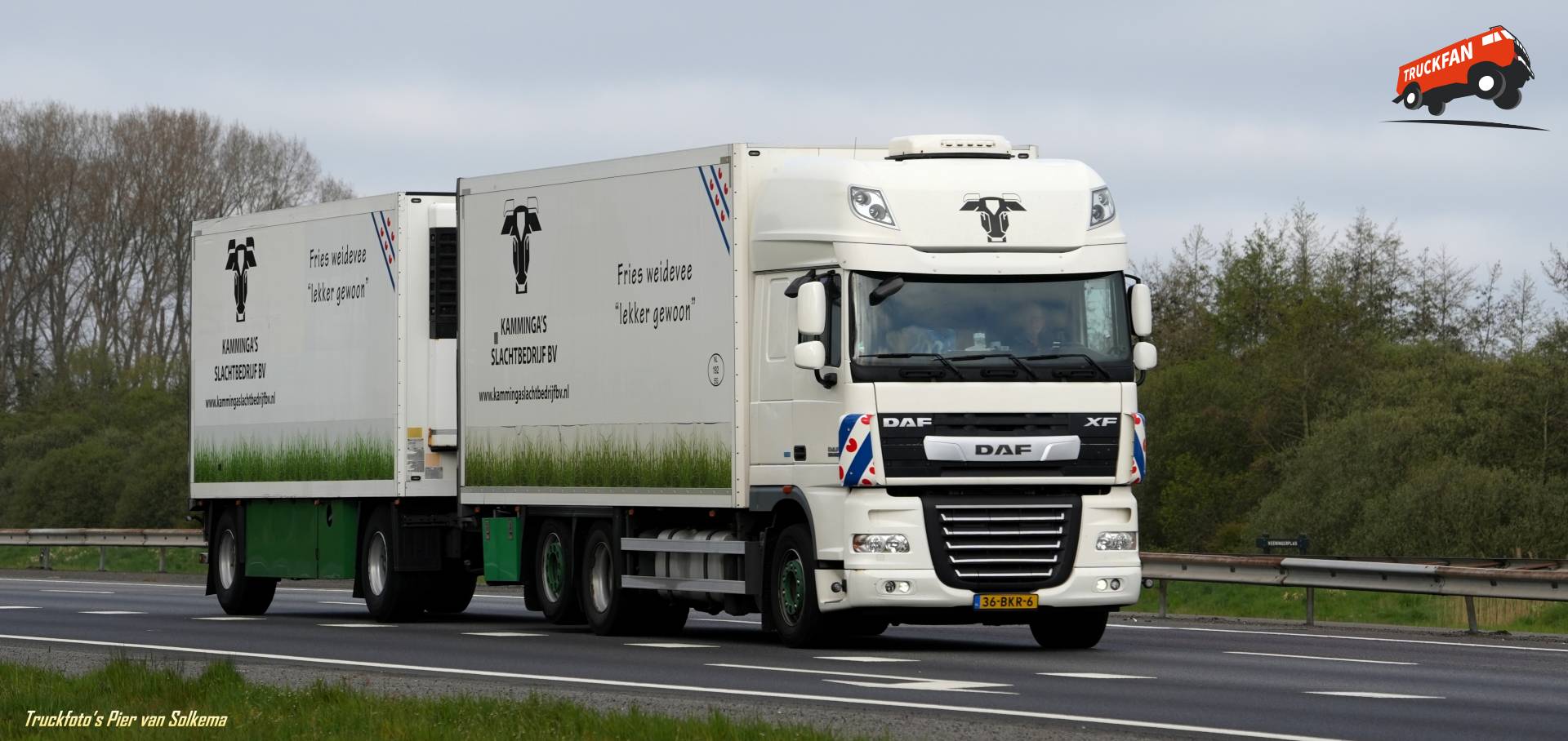 DAF XF koeltransport bij A28 Veeningen