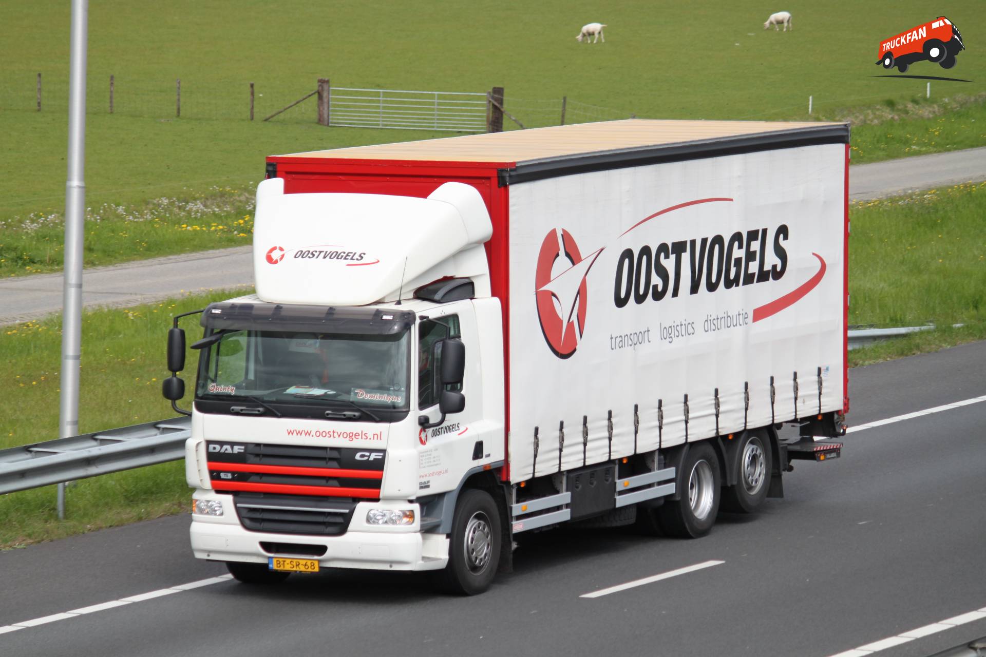 DAF CF75 vrachtwagen van Oostvogels