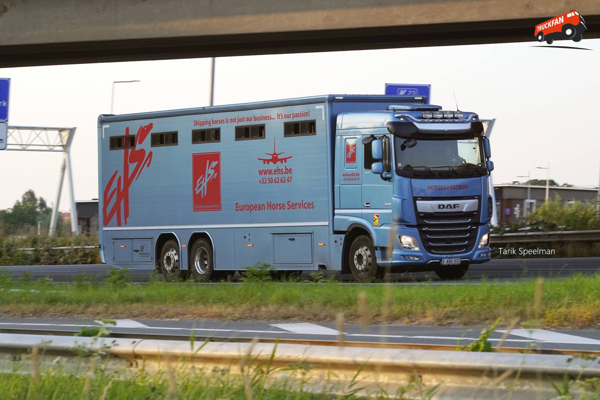 Paardenvervoer vrachtwagen van European Horse Services op A16