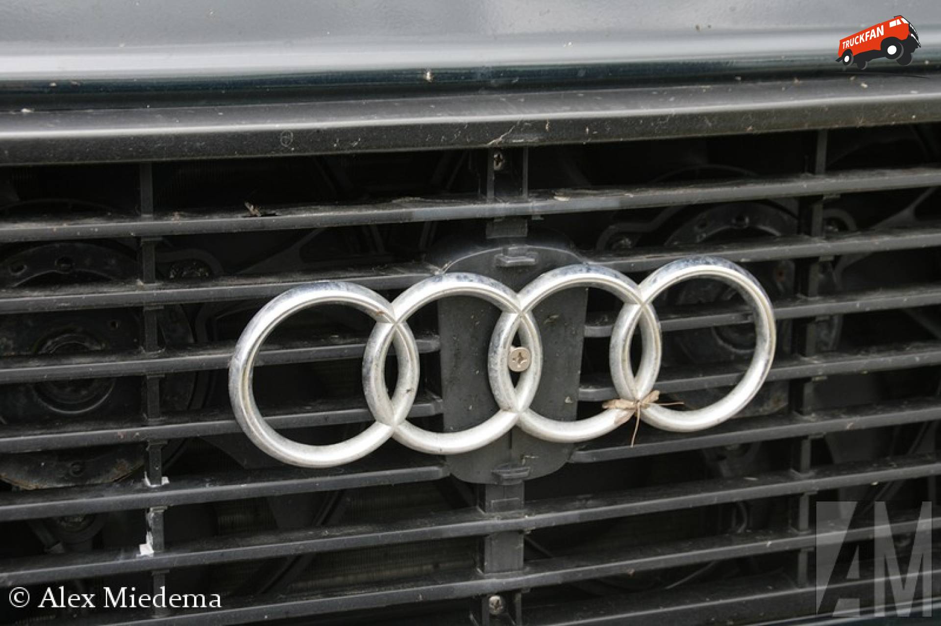 Audi logo