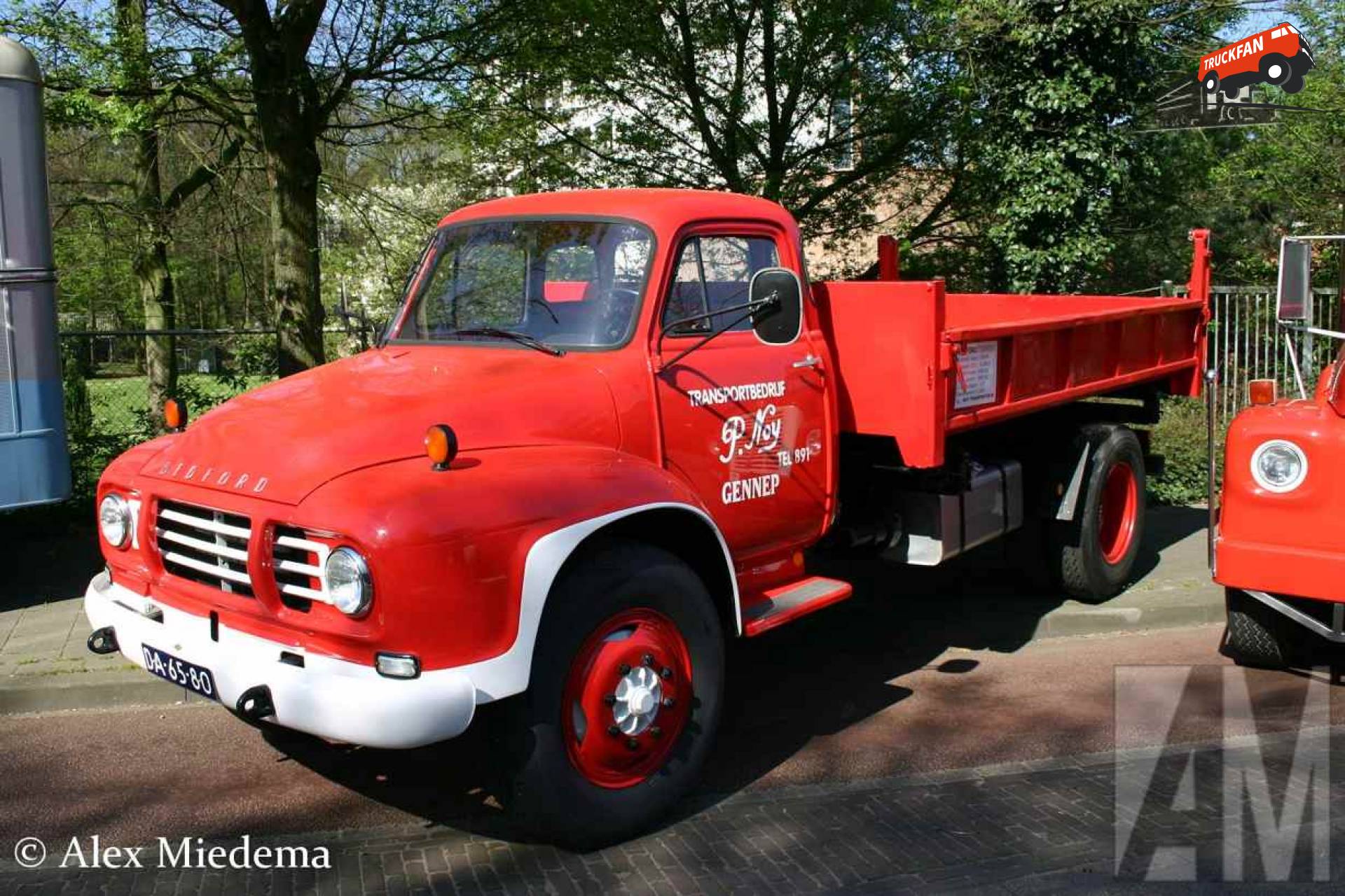 Bedford TJ