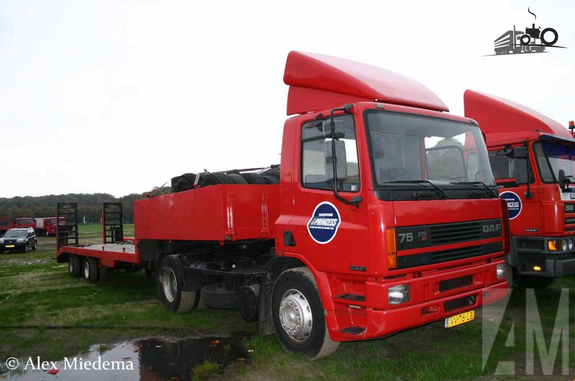DAF 75