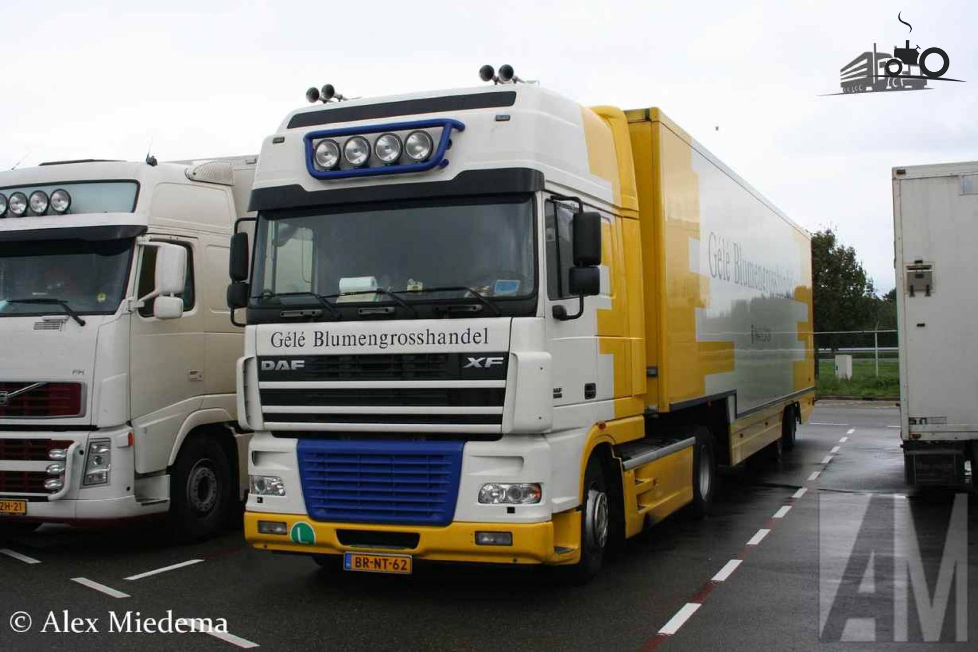 DAF XF95
