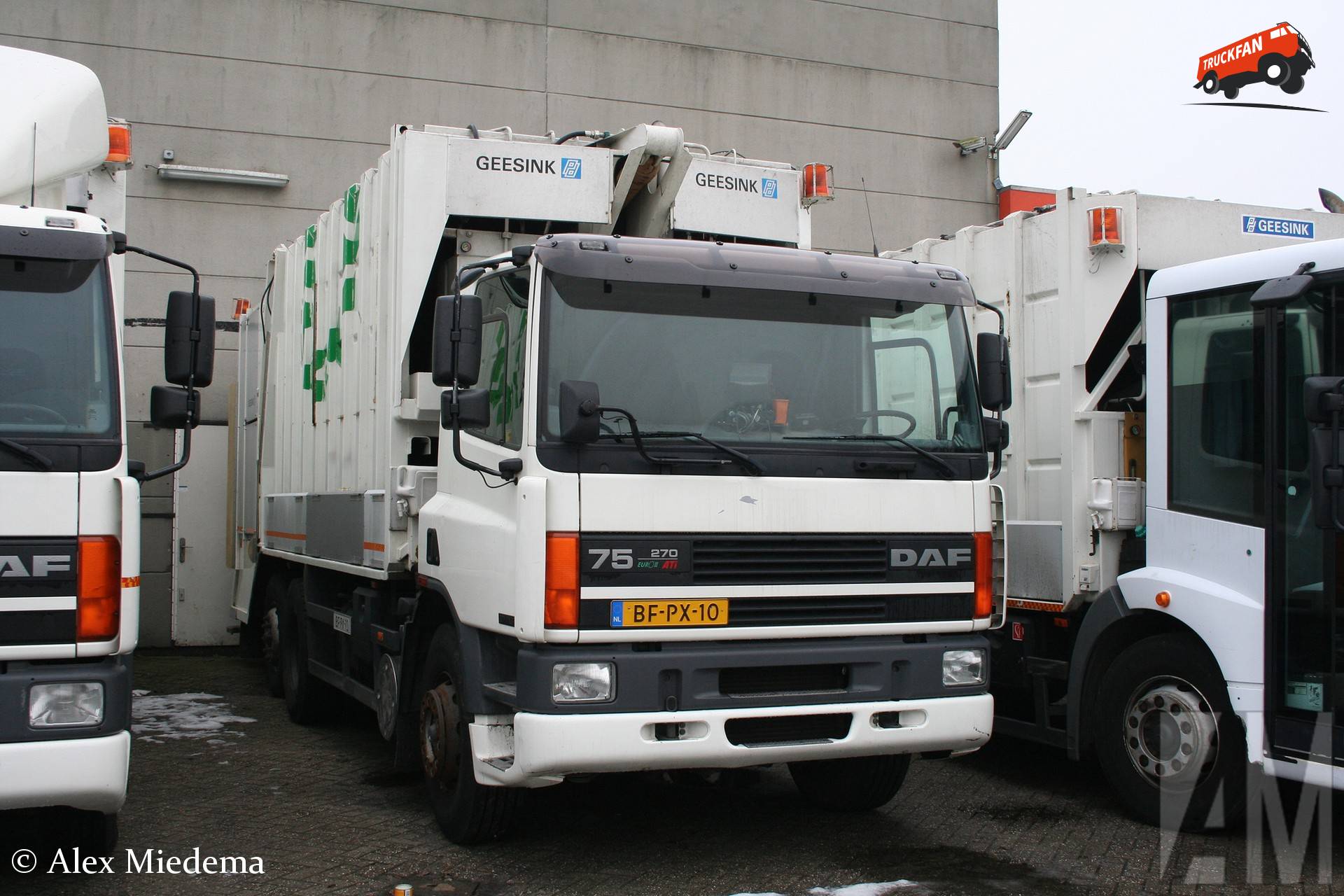 DAF 75