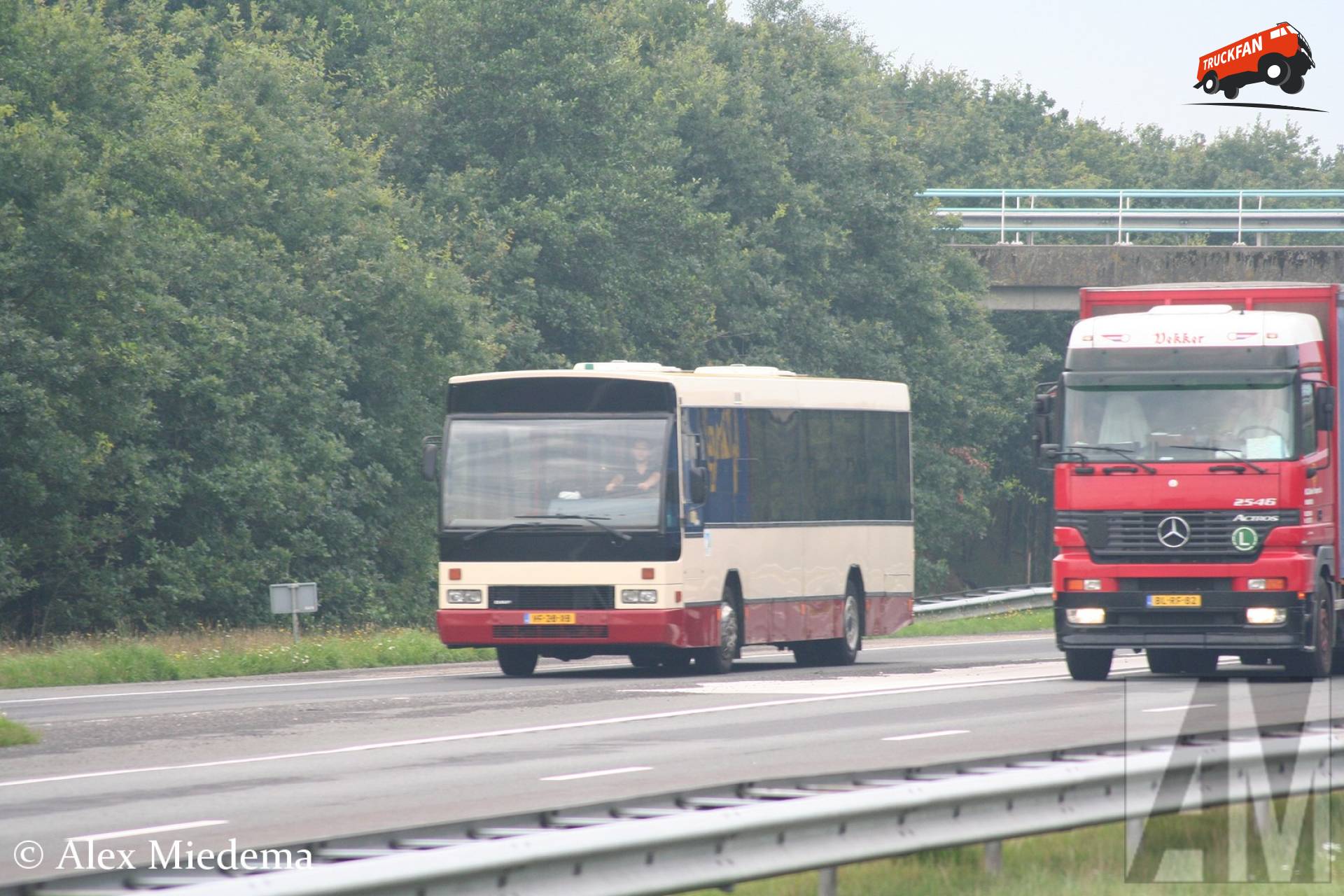 DAF buschassis