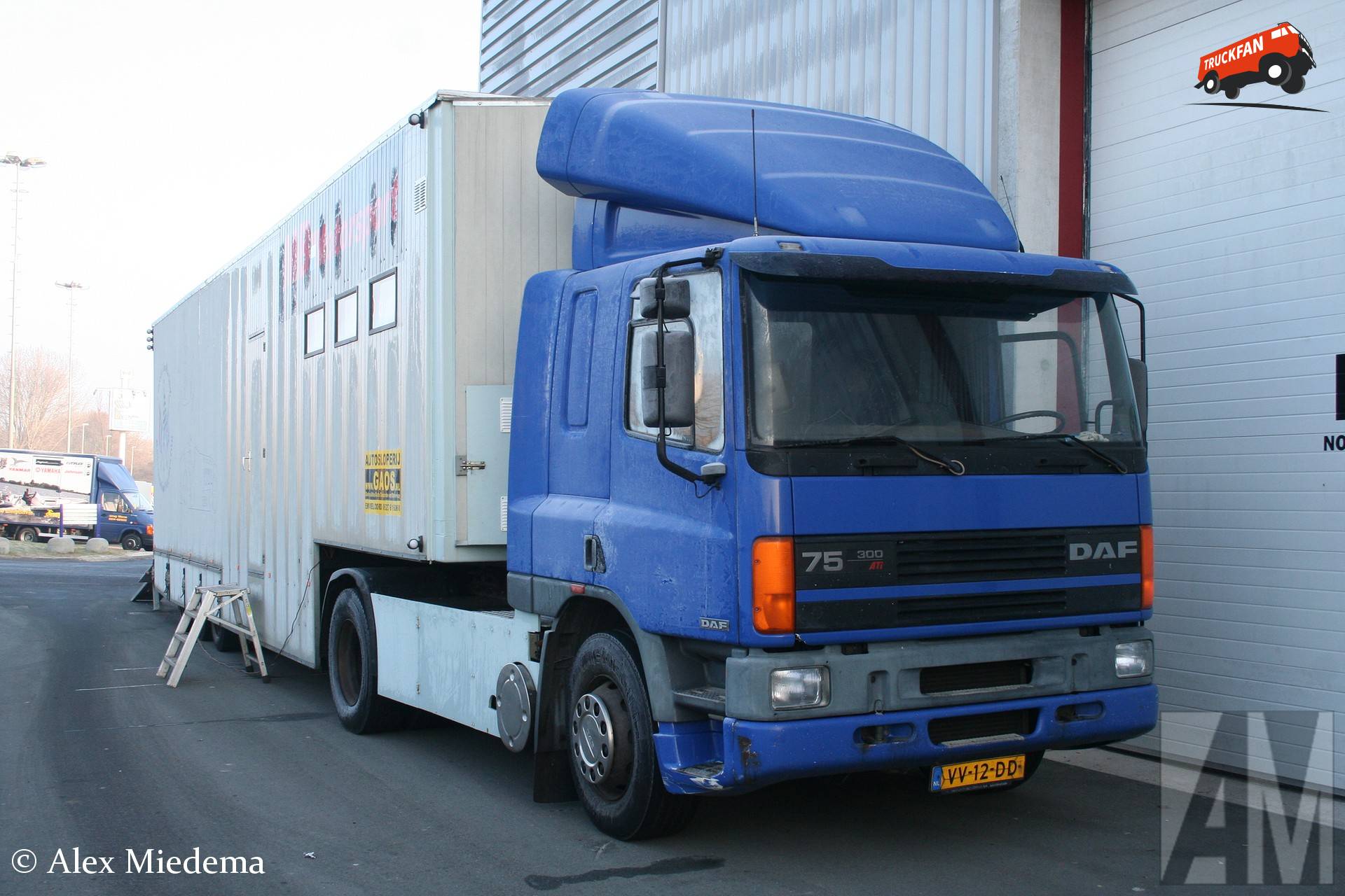 DAF 75