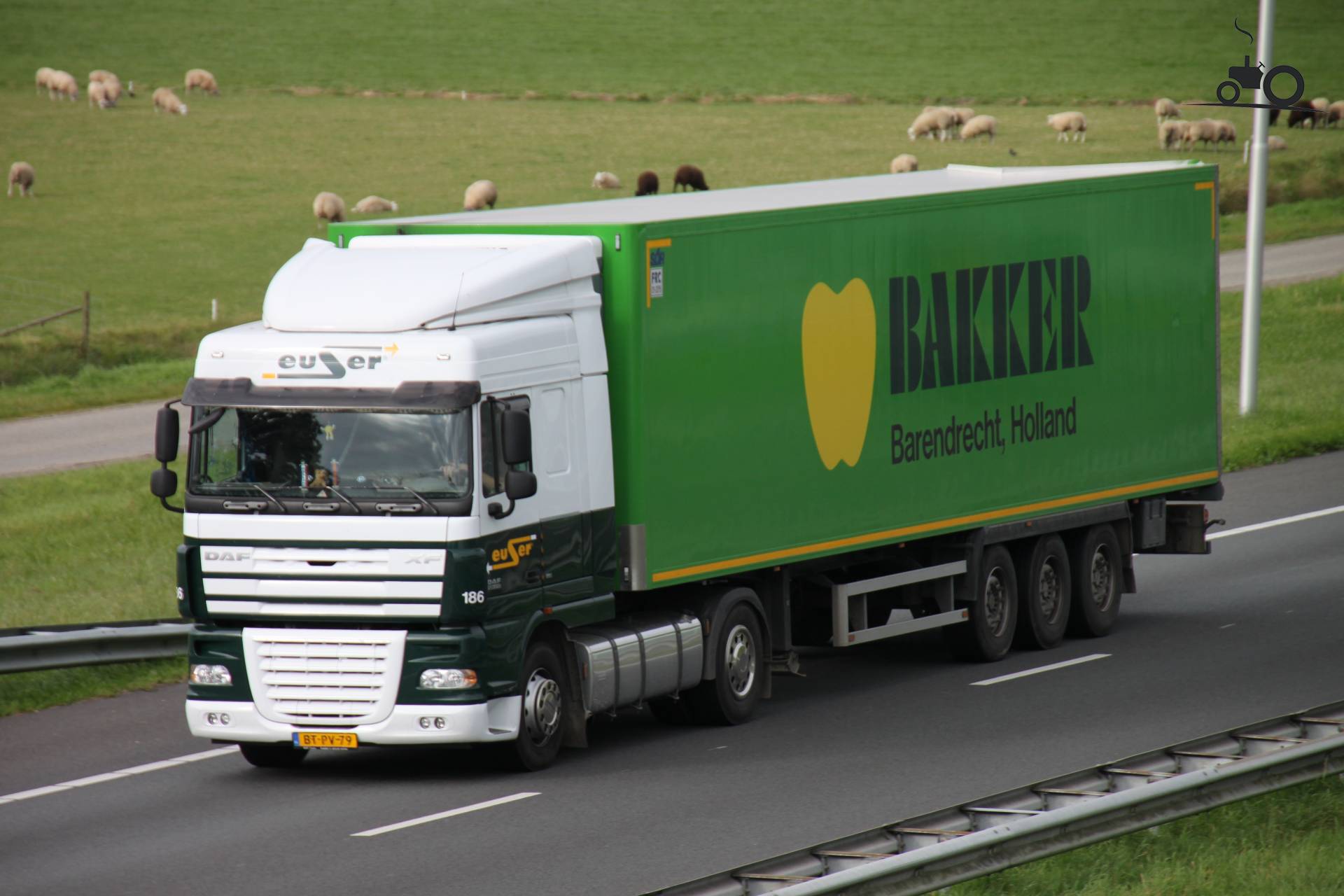 DAF XF105