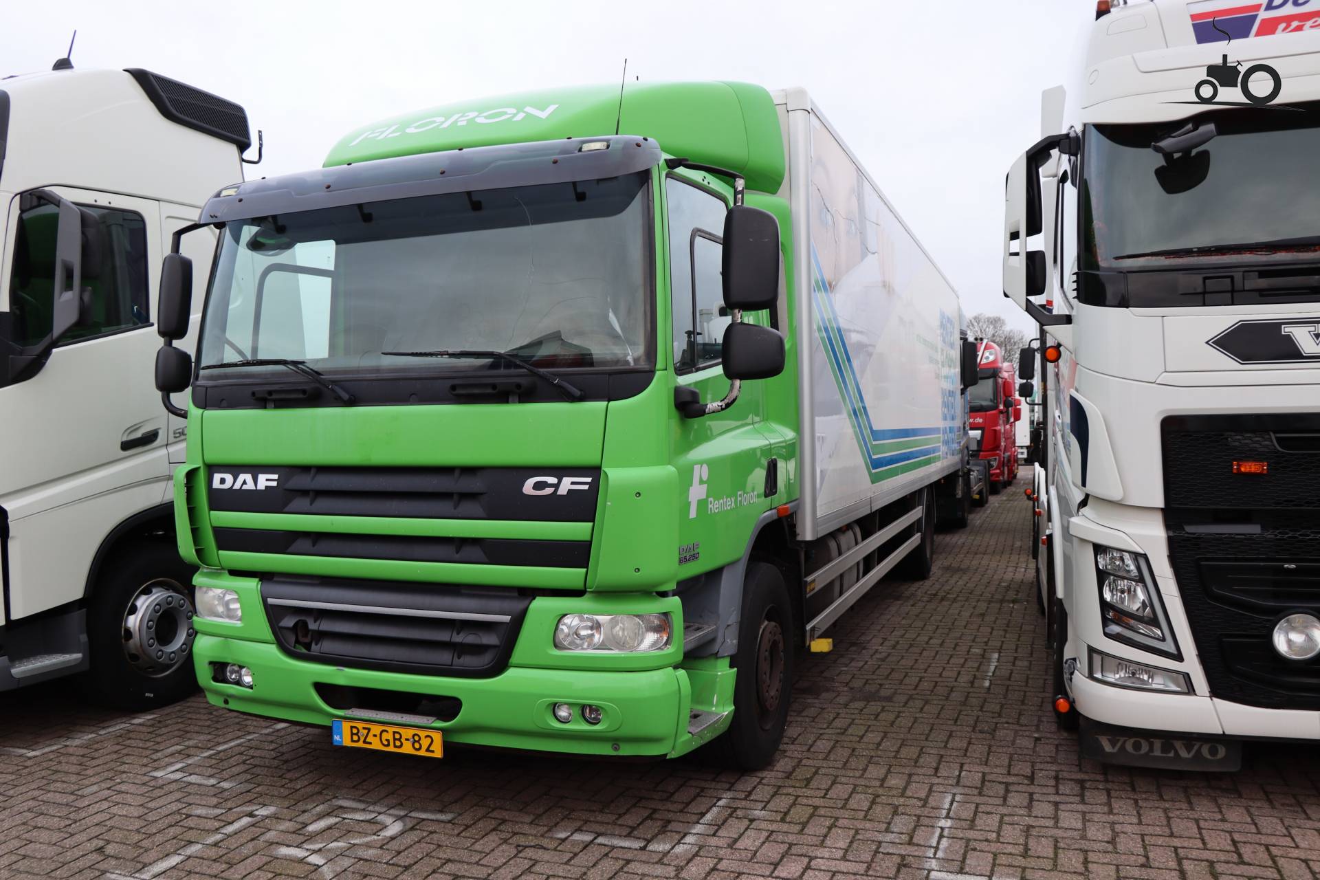 DAF CF65