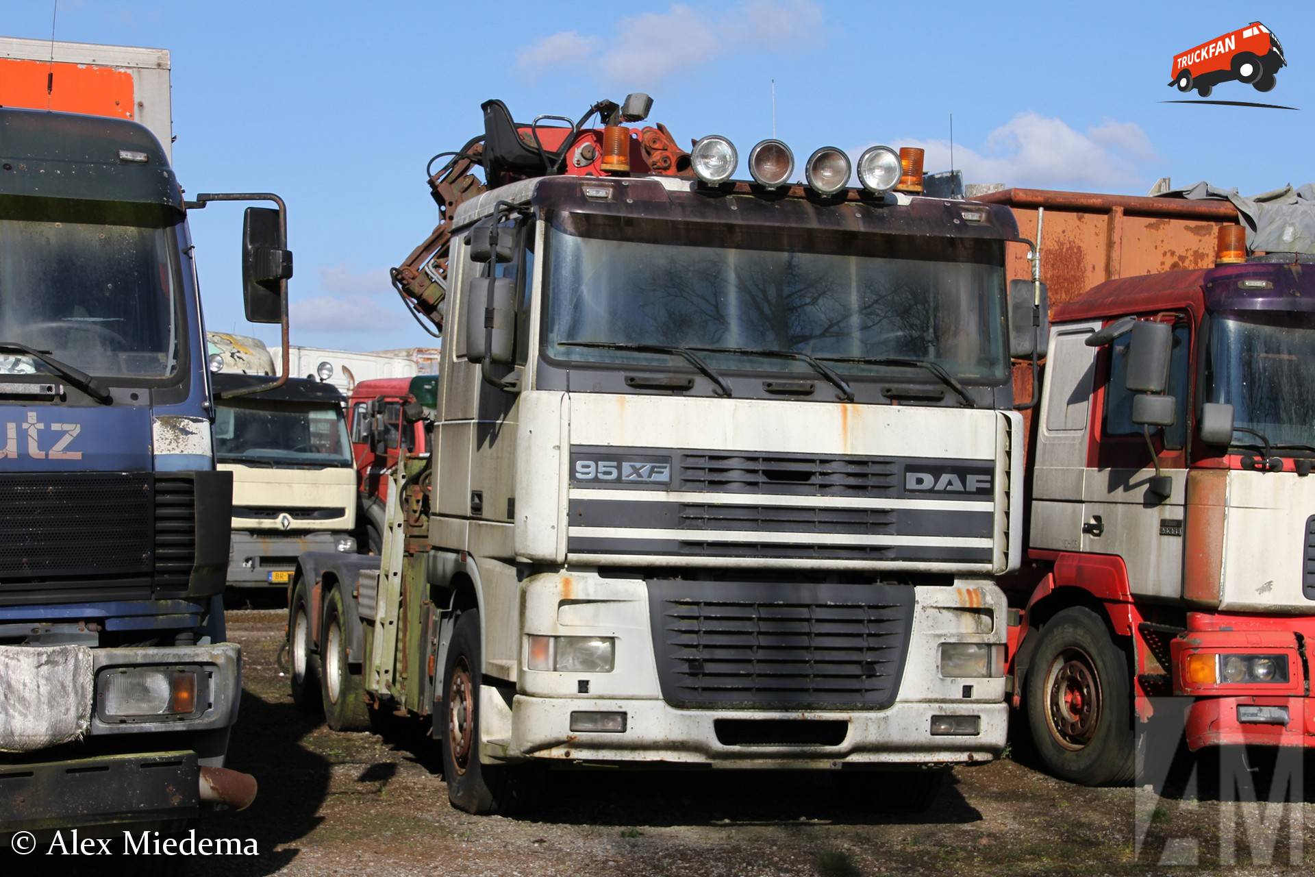 DAF 95XF
