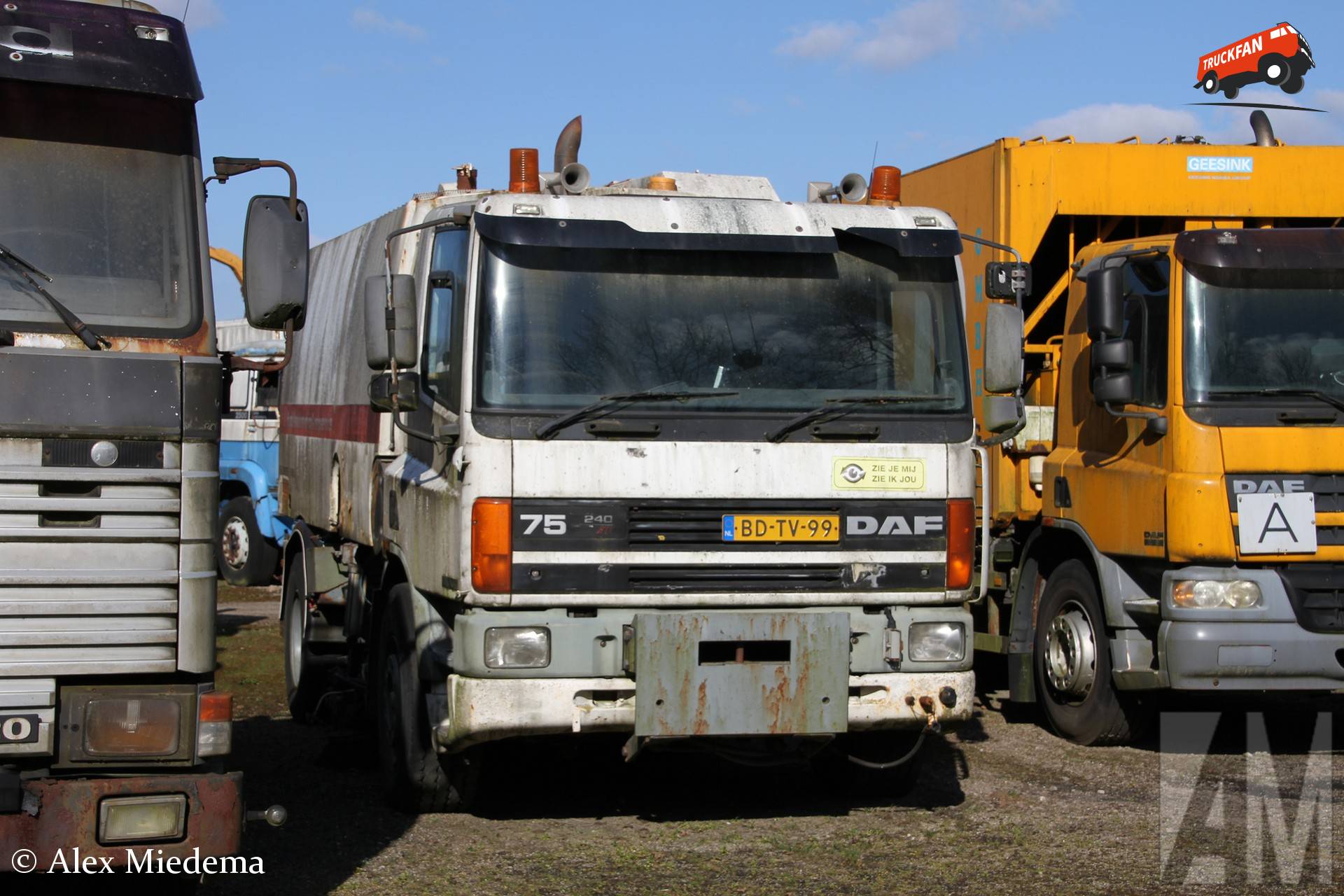 DAF 75