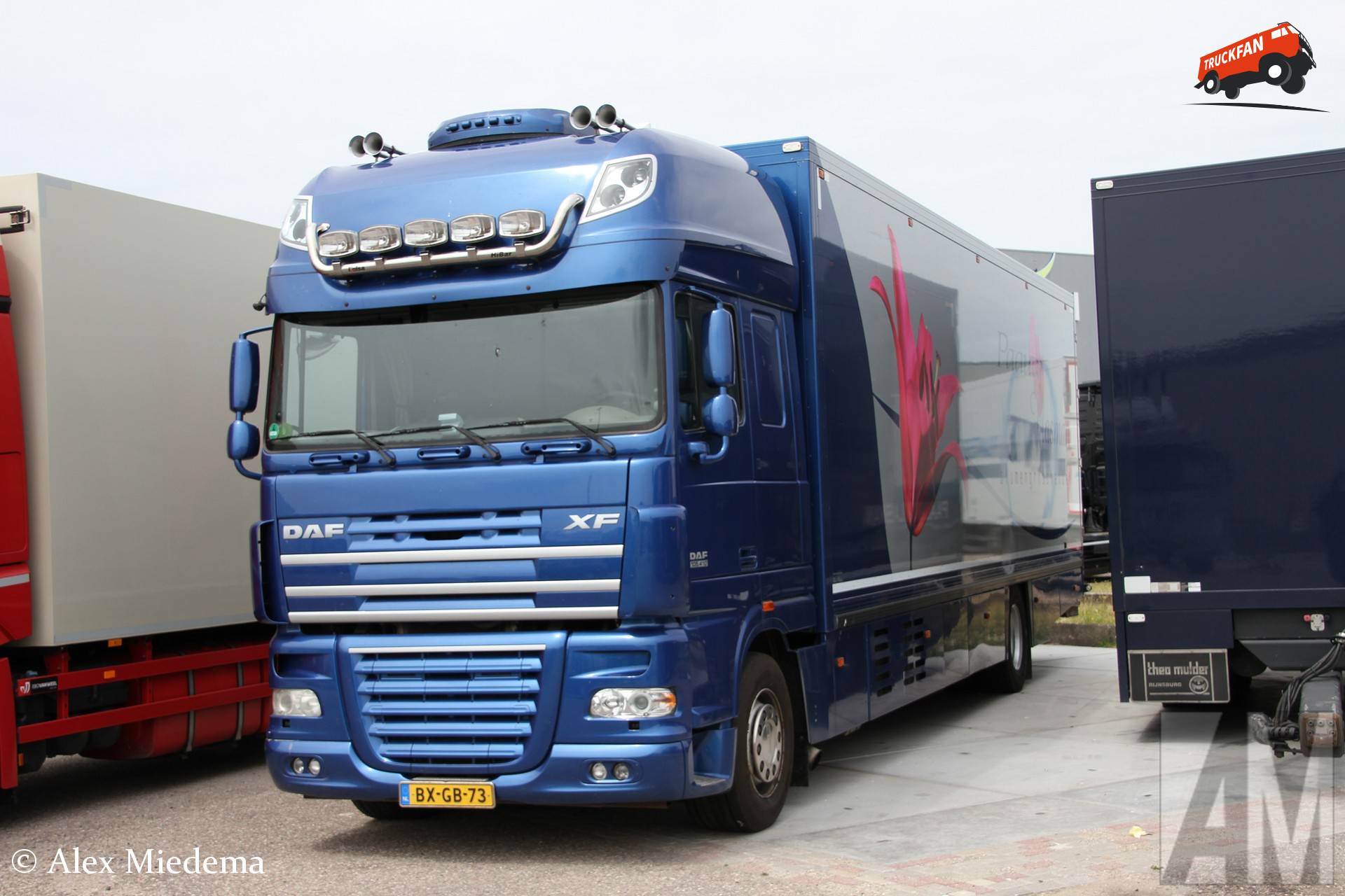 DAF XF105