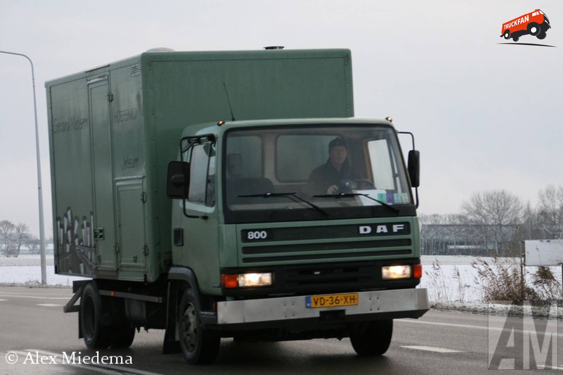 DAF 800