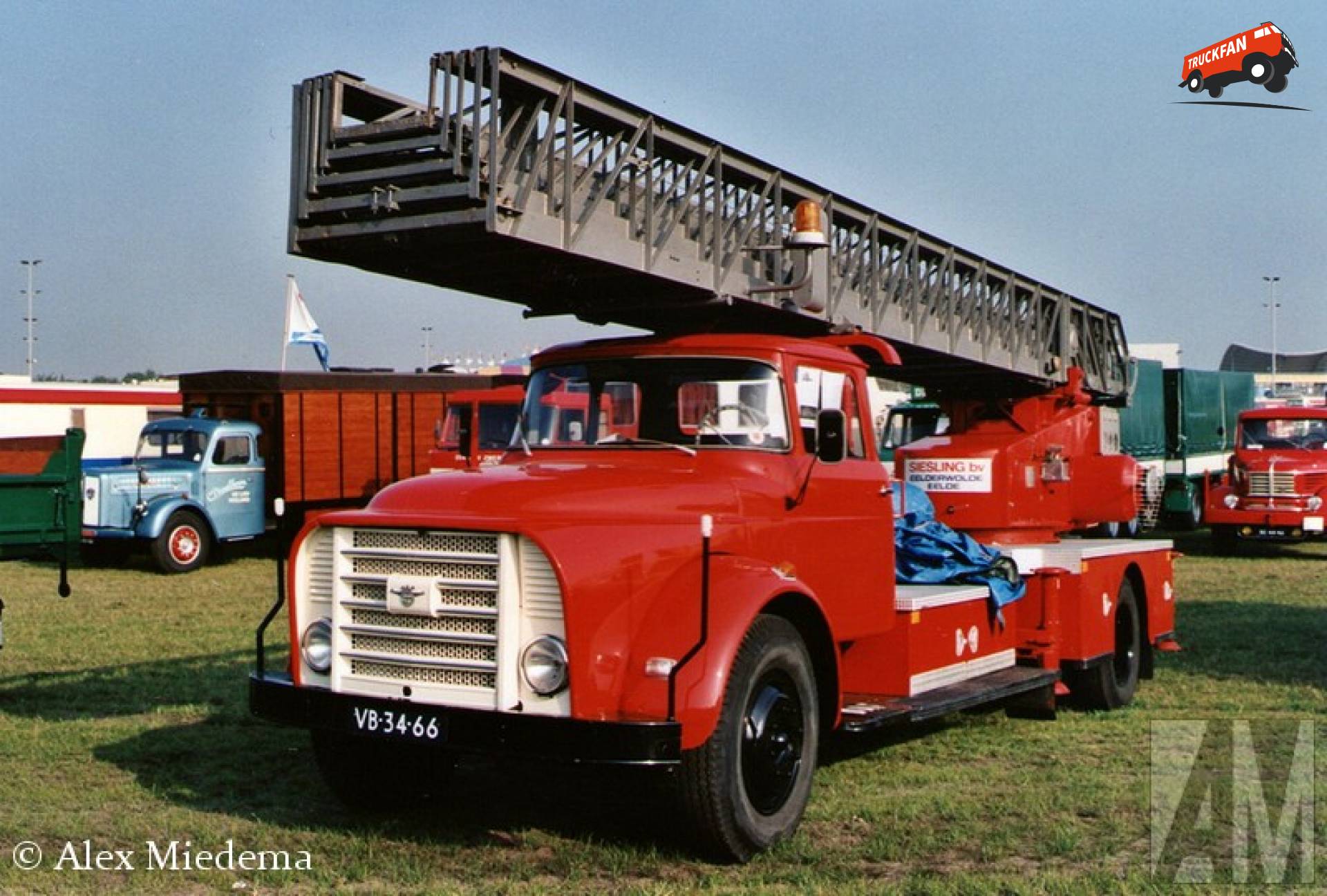 DAF torpedo
