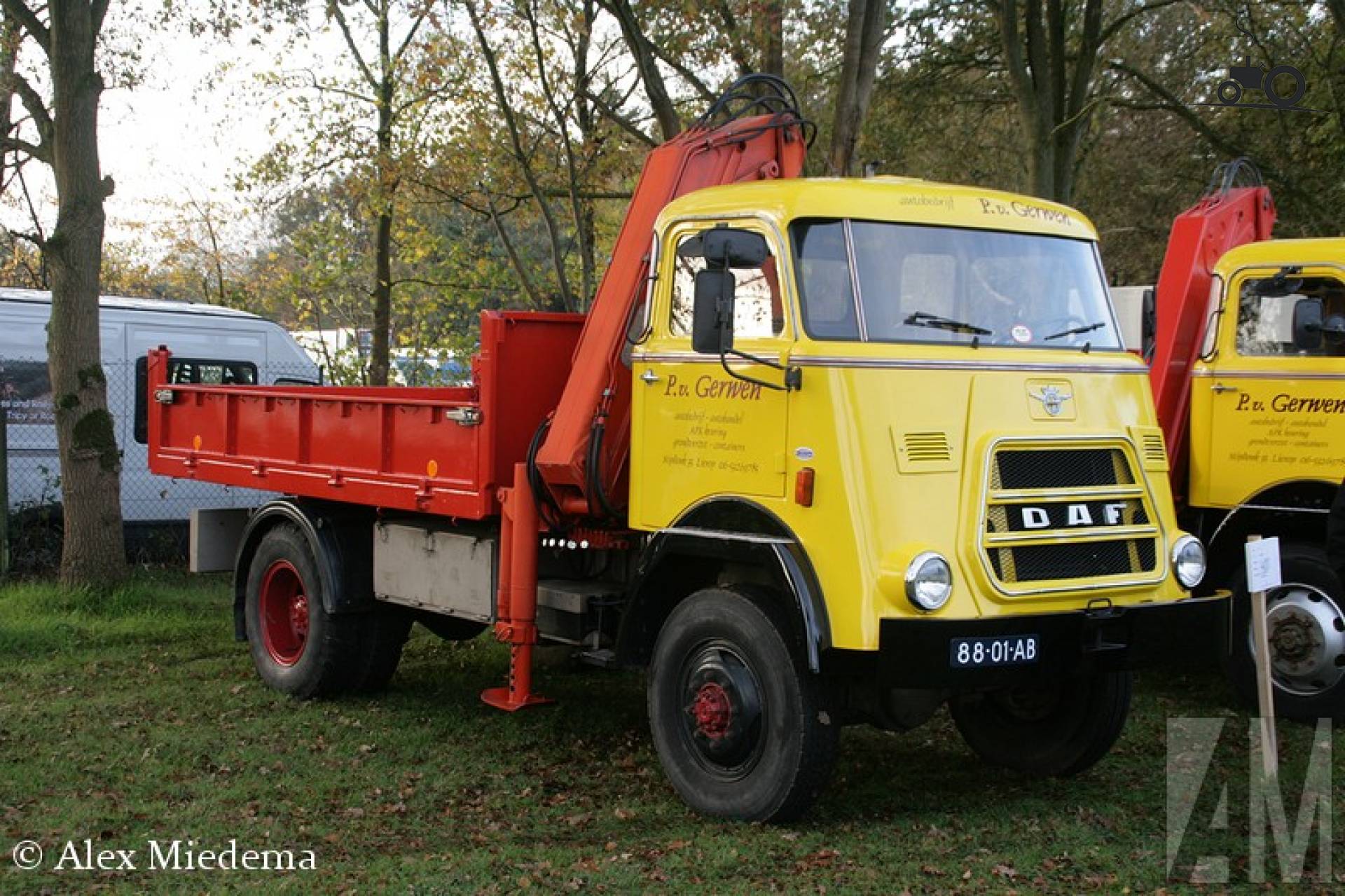 DAF V1600