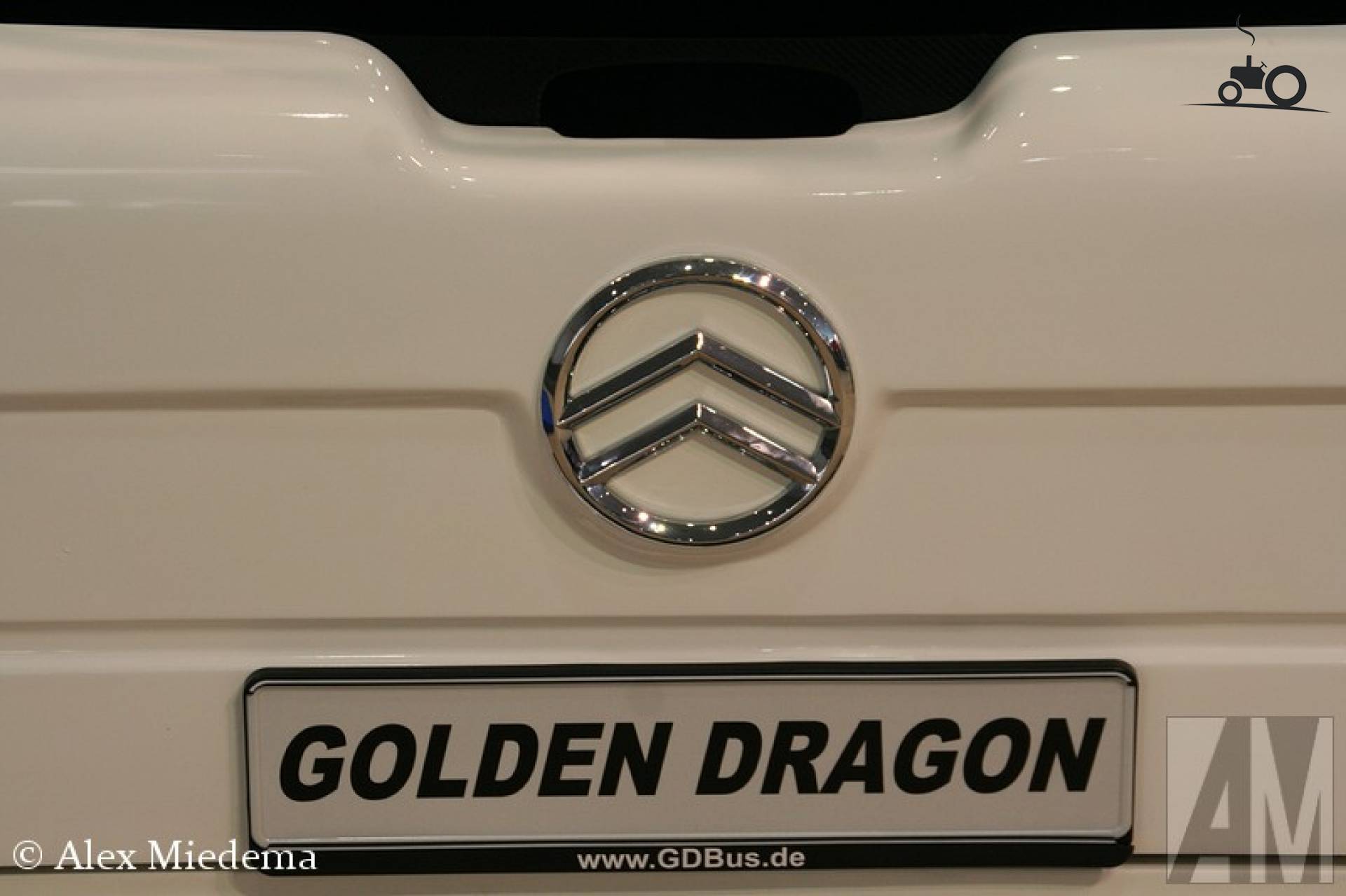 Golden Dragon logo