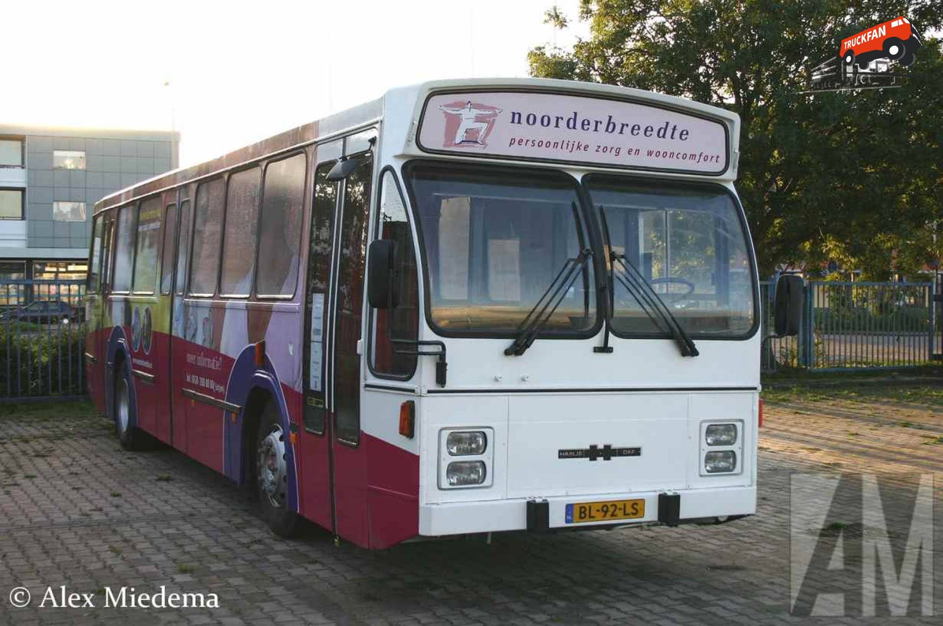 Hainje onbekend/overig