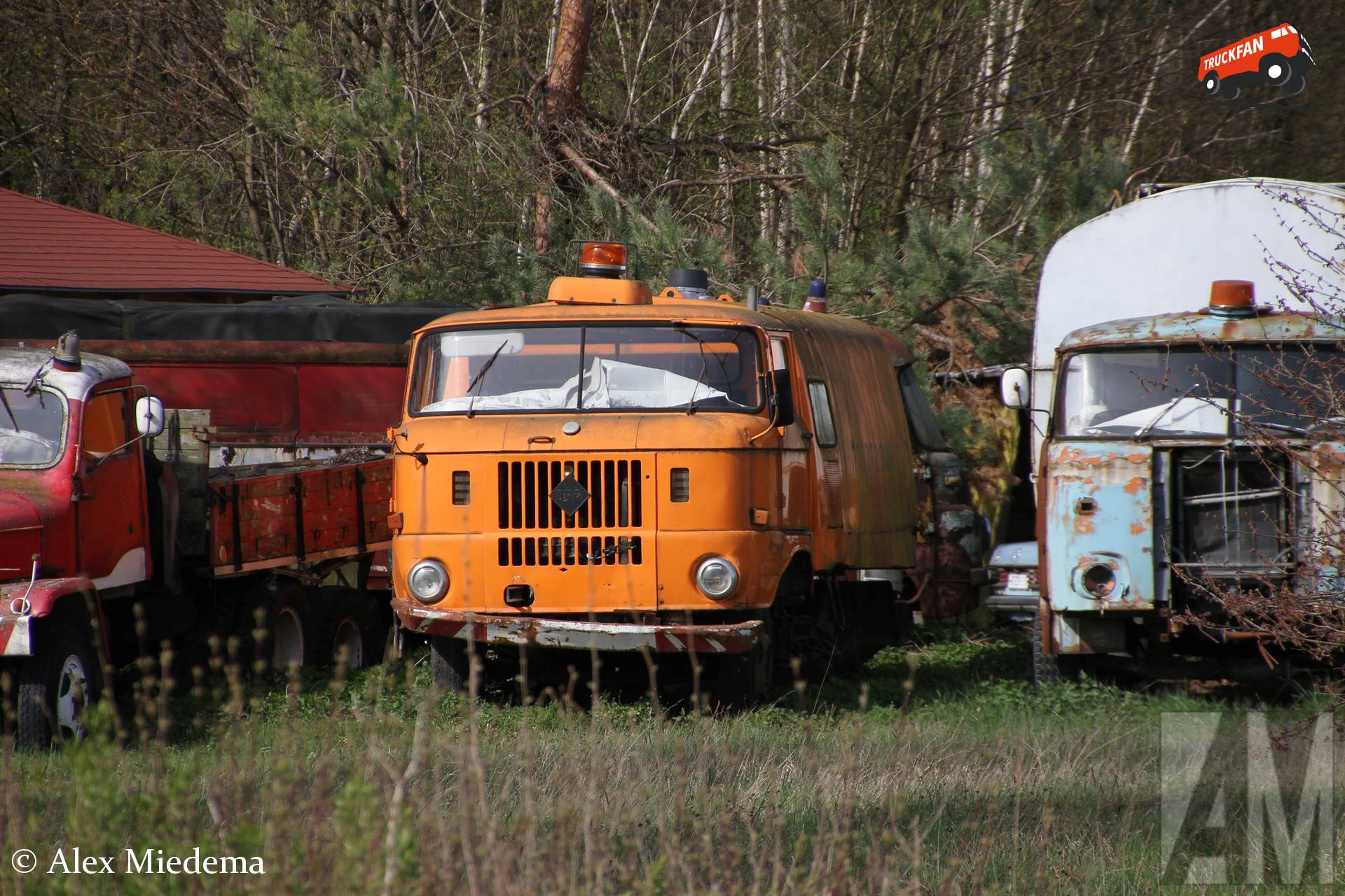IFA W50