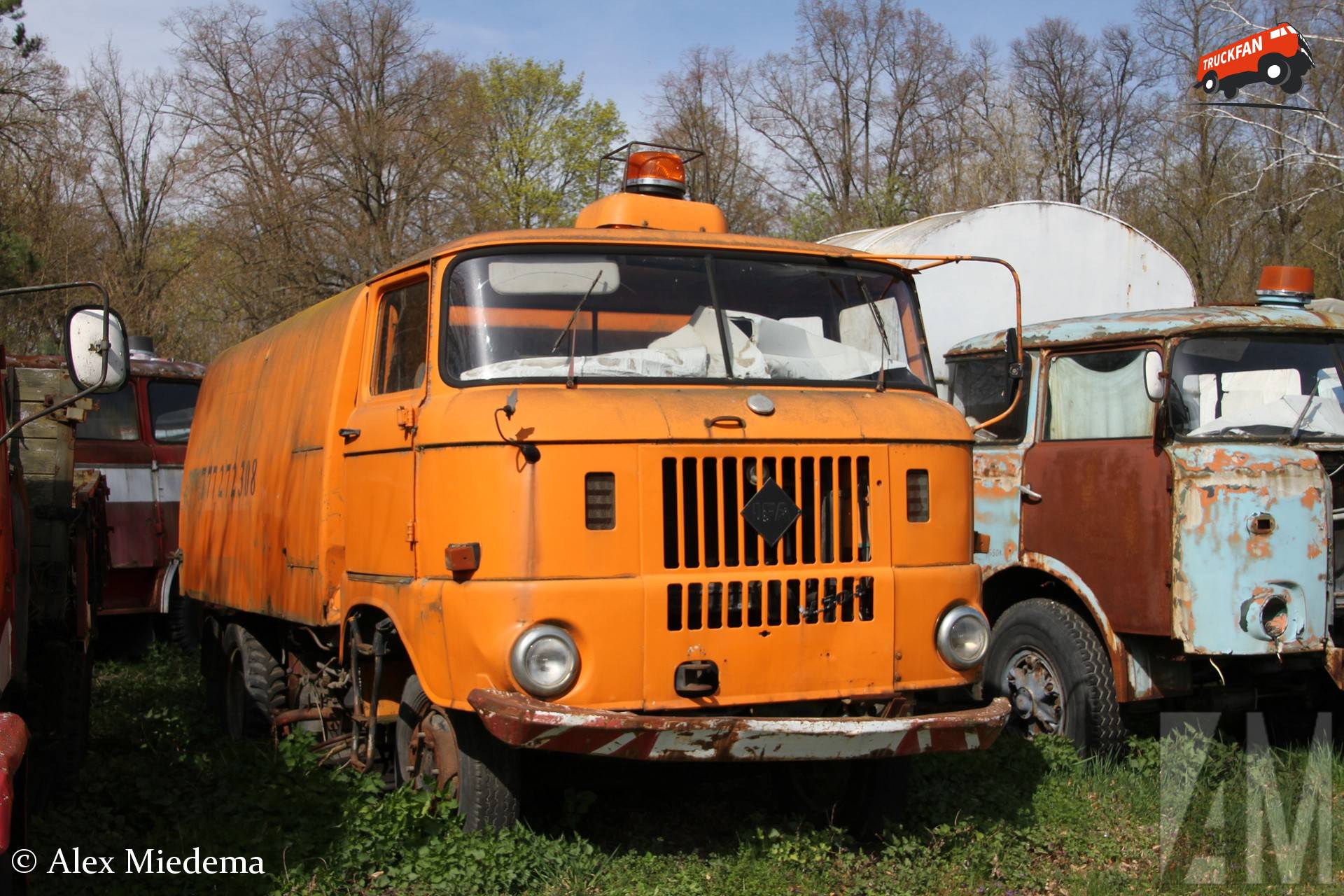 IFA W50