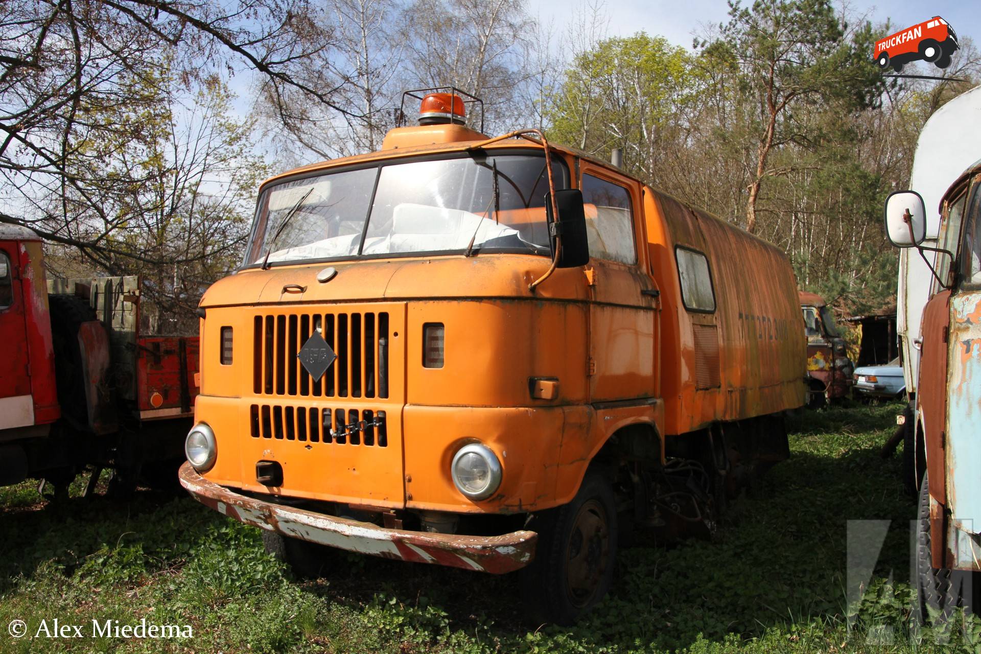 IFA W50