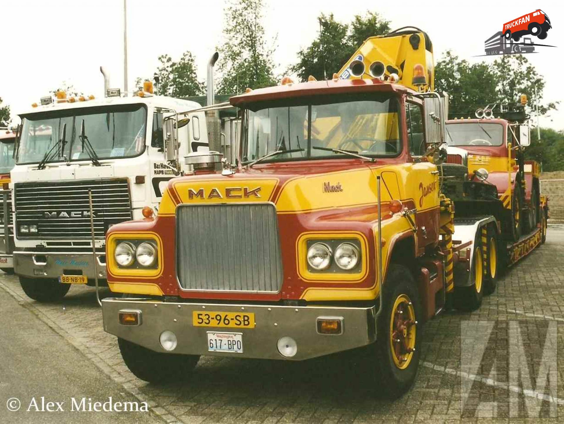 mack DM