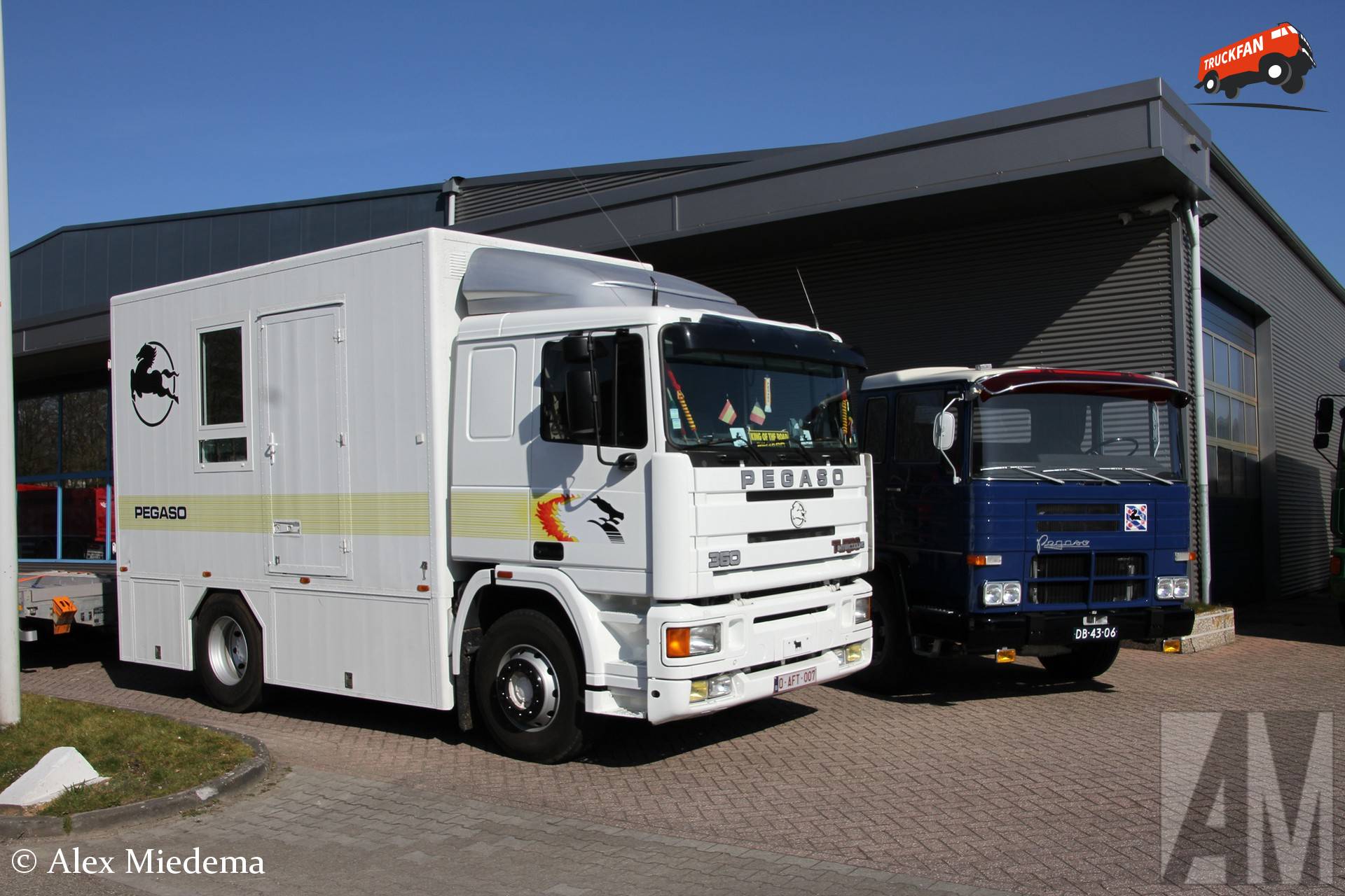 Pegaso Troner