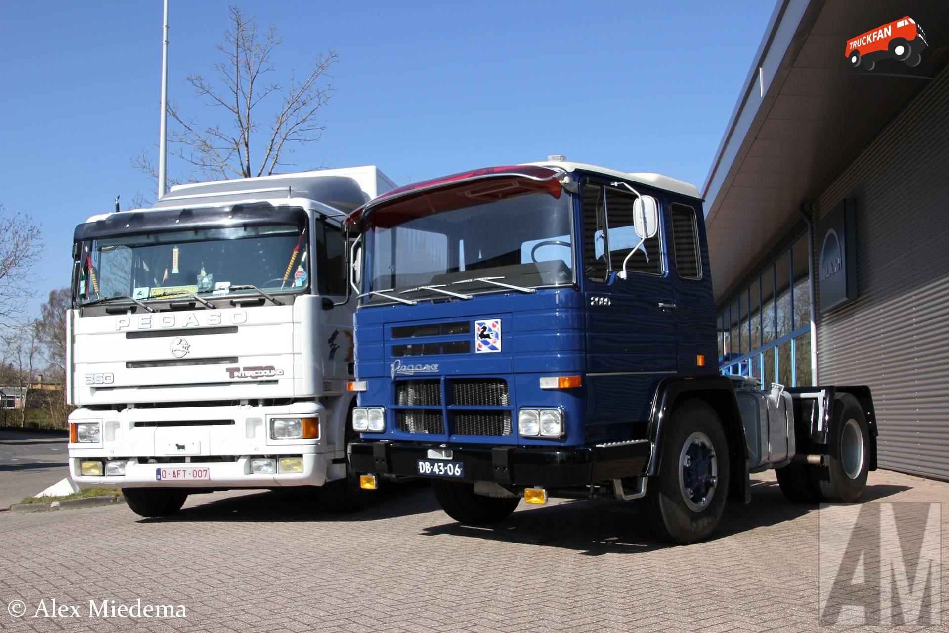 Pegaso meerdere