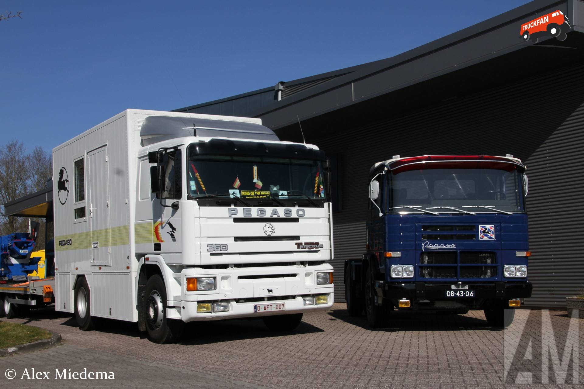 Pegaso meerdere